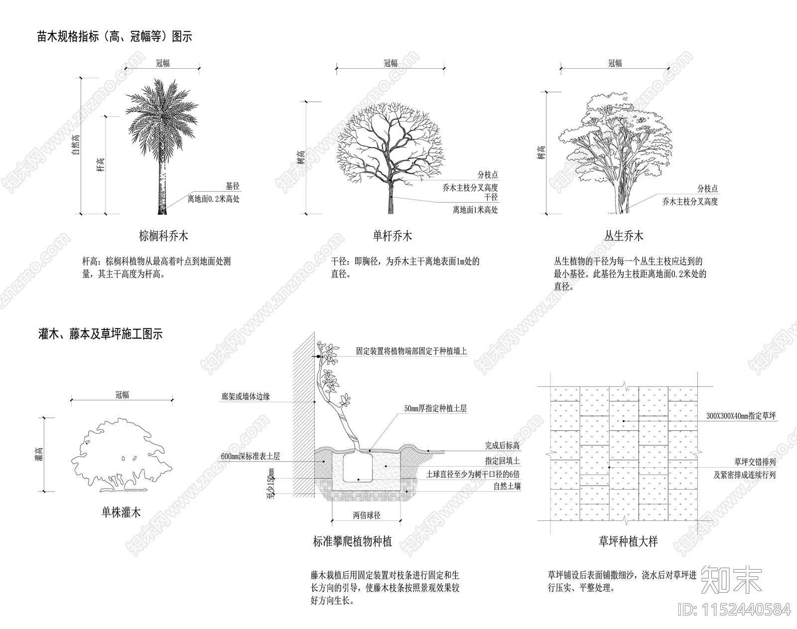 植物种植详图施工图下载【ID:1152440584】