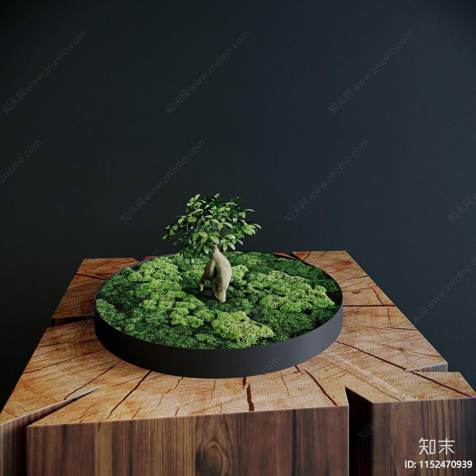 新中式苔藓盆景3D模型下载【ID:1152470939】