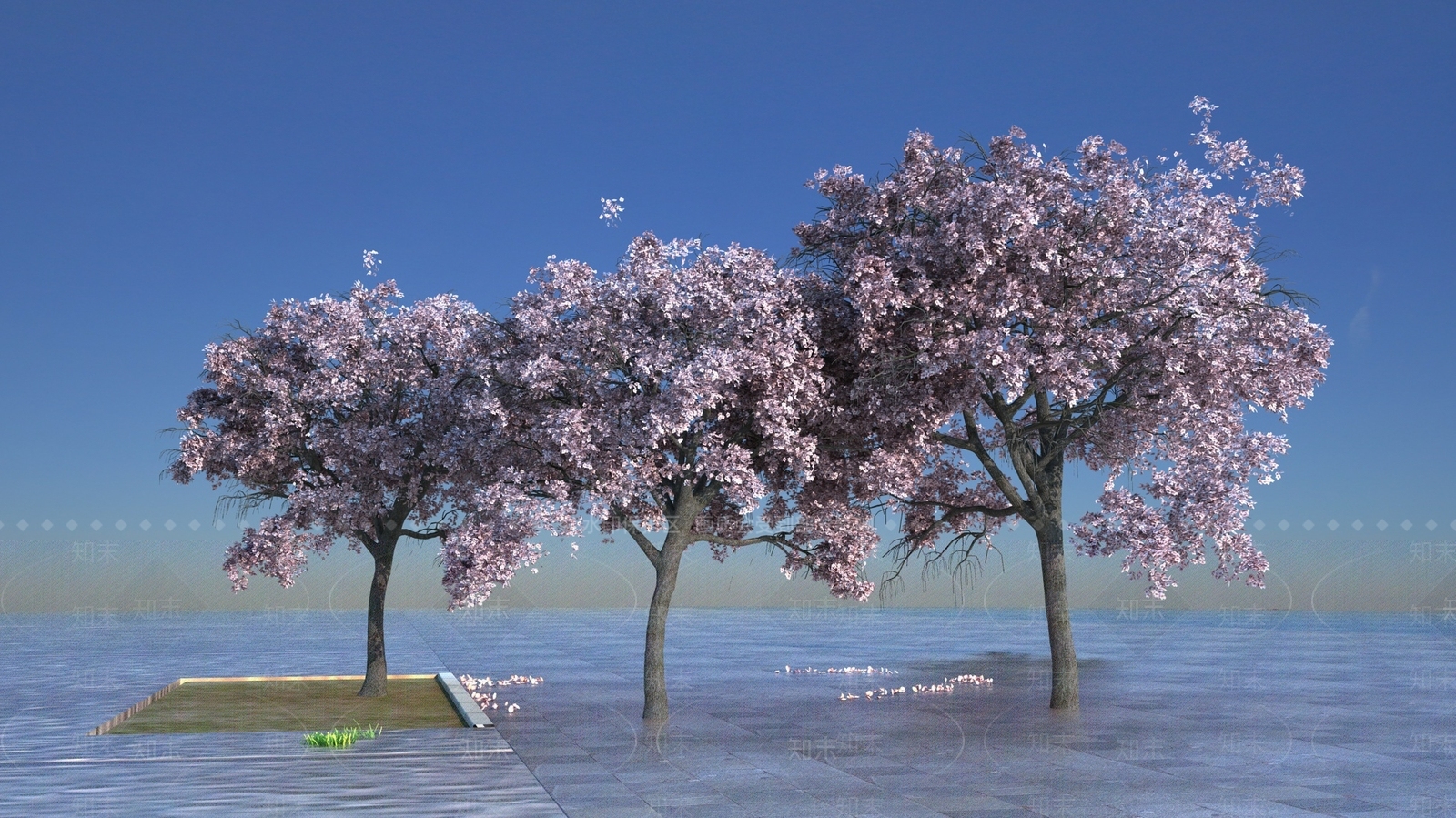 樱花树3D模型下载【ID:1152503108】