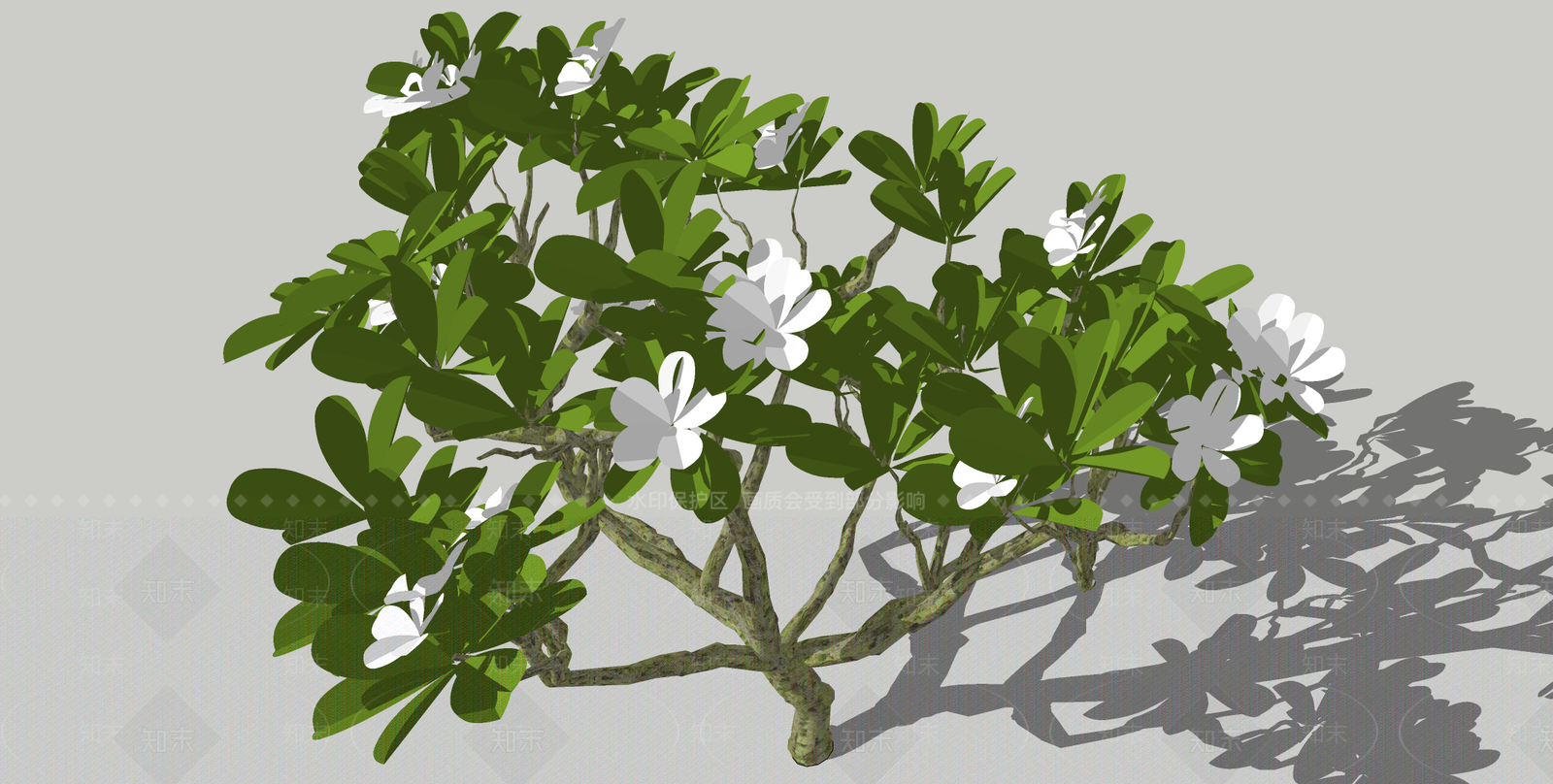 鸡蛋花SU模型下载【ID:1152540130】