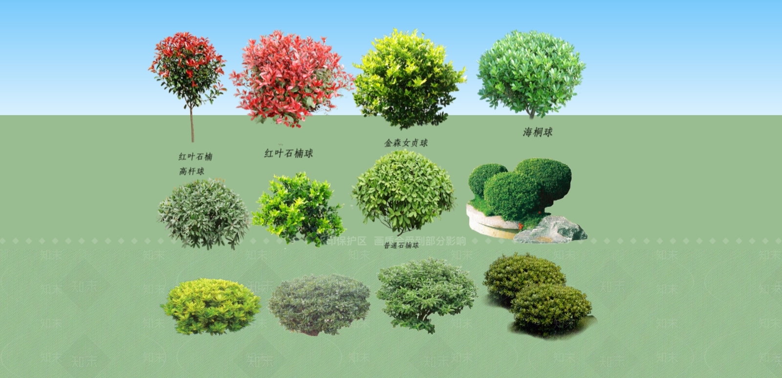 2D绿色植物树SU模型下载【ID:1152593959】