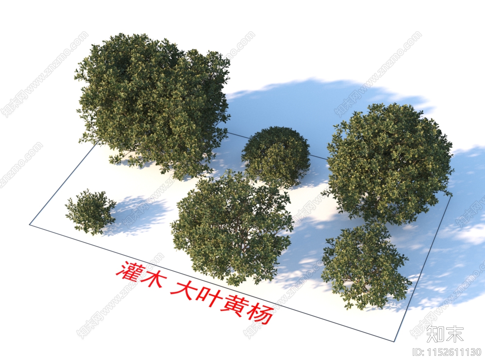 灌木3D模型下载【ID:1152611130】