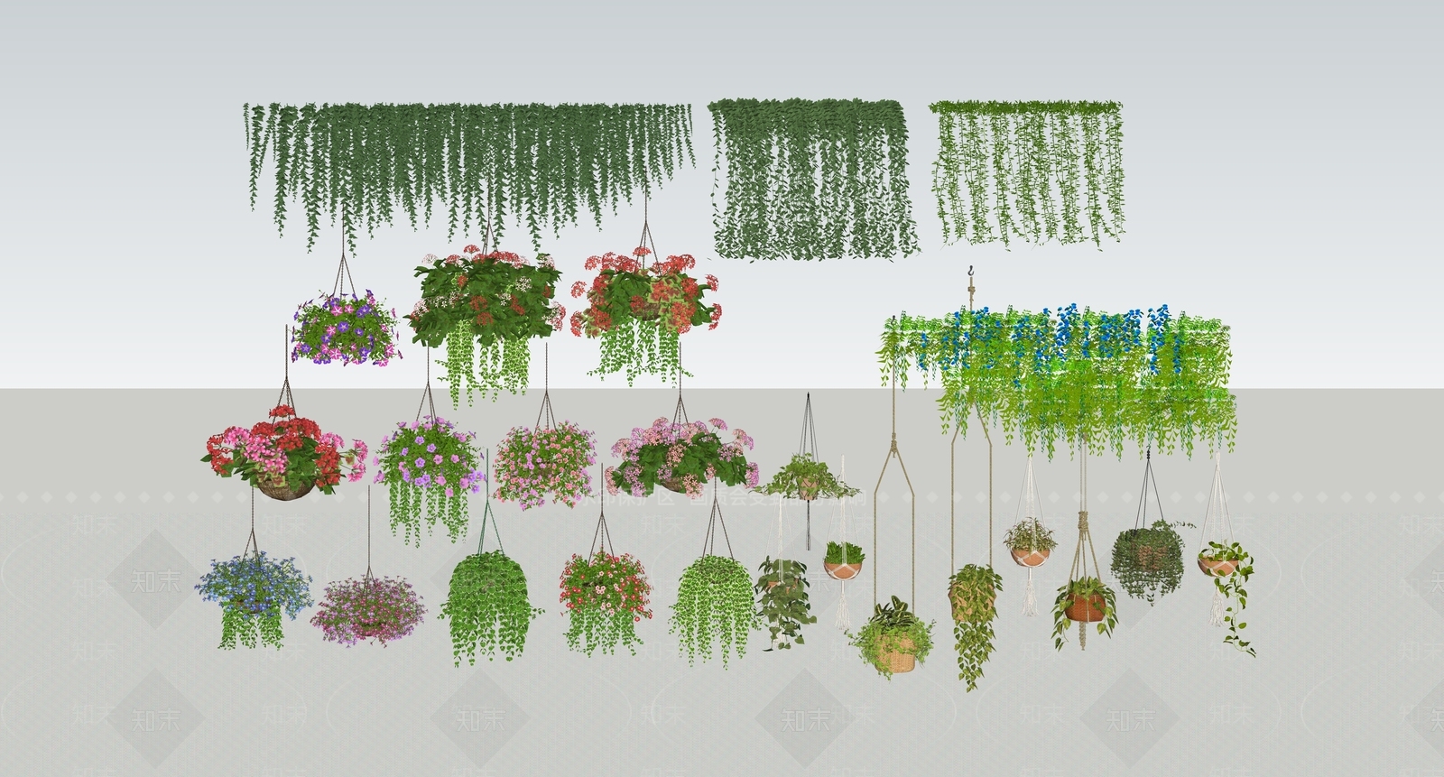 藤蔓SU模型草图
