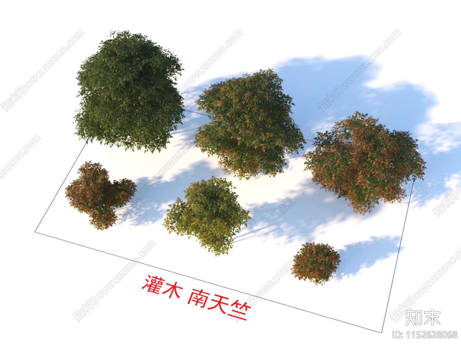 灌木3D模型下载【ID:1152628068】