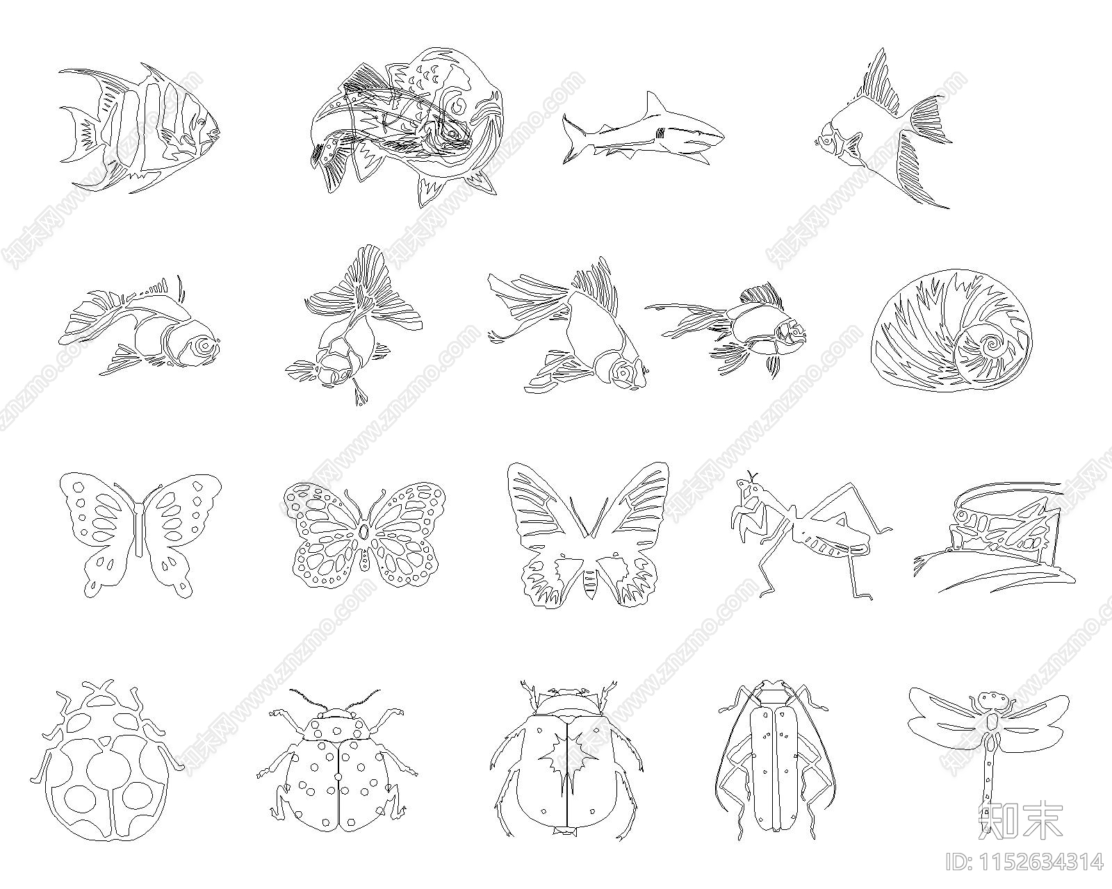 昆虫动物cad施工图下载【ID:1152634314】