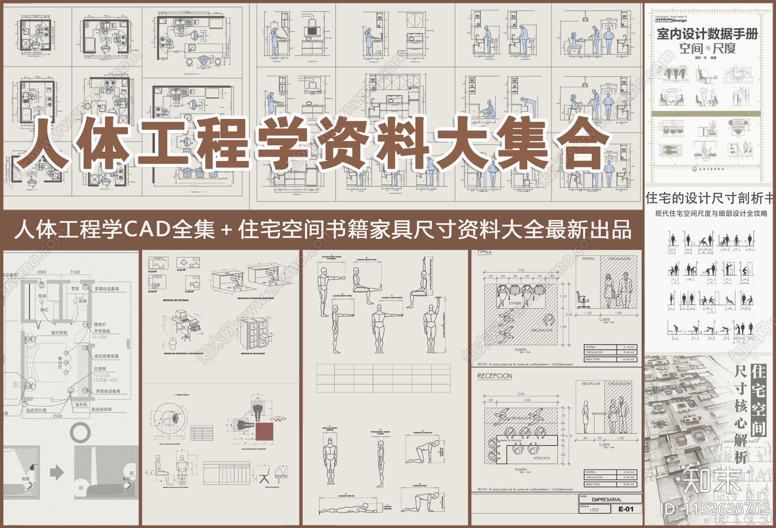人体工程学资料大集合施工图下载【ID:1152638702】