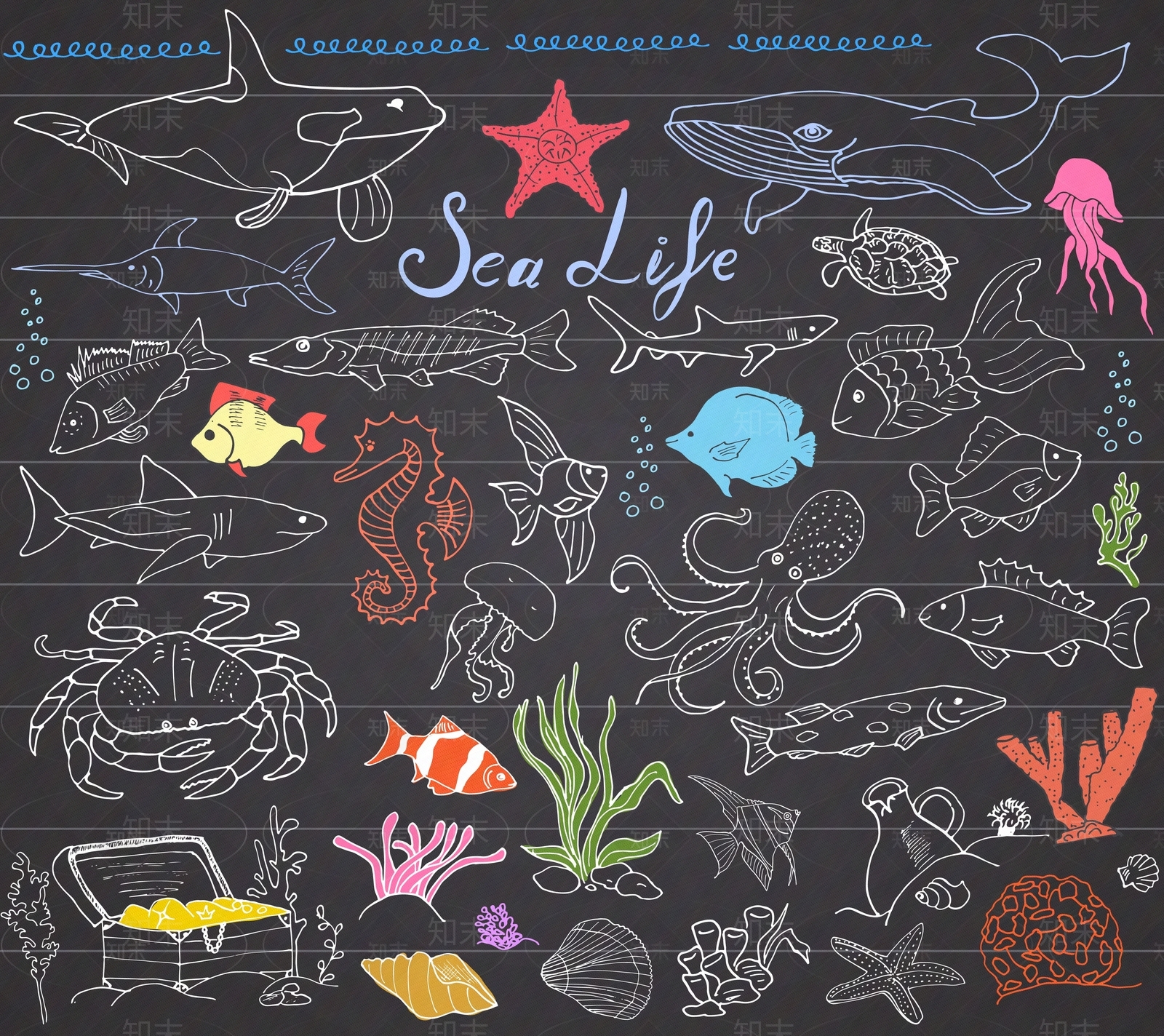 儿童卡通海洋动物手绘线条壁纸贴图下载【ID:1152679174】