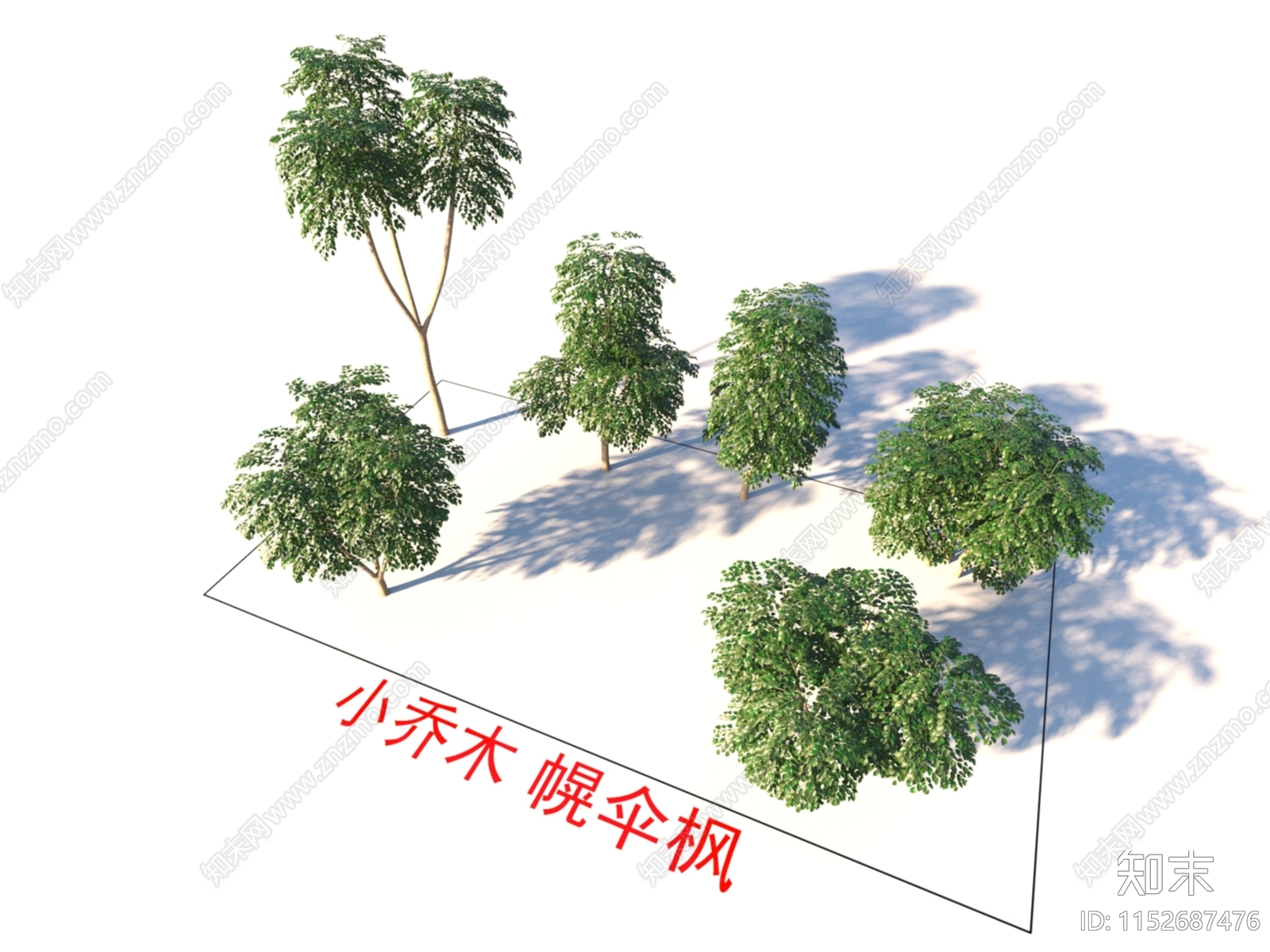 小乔木3D模型下载【ID:1152687476】