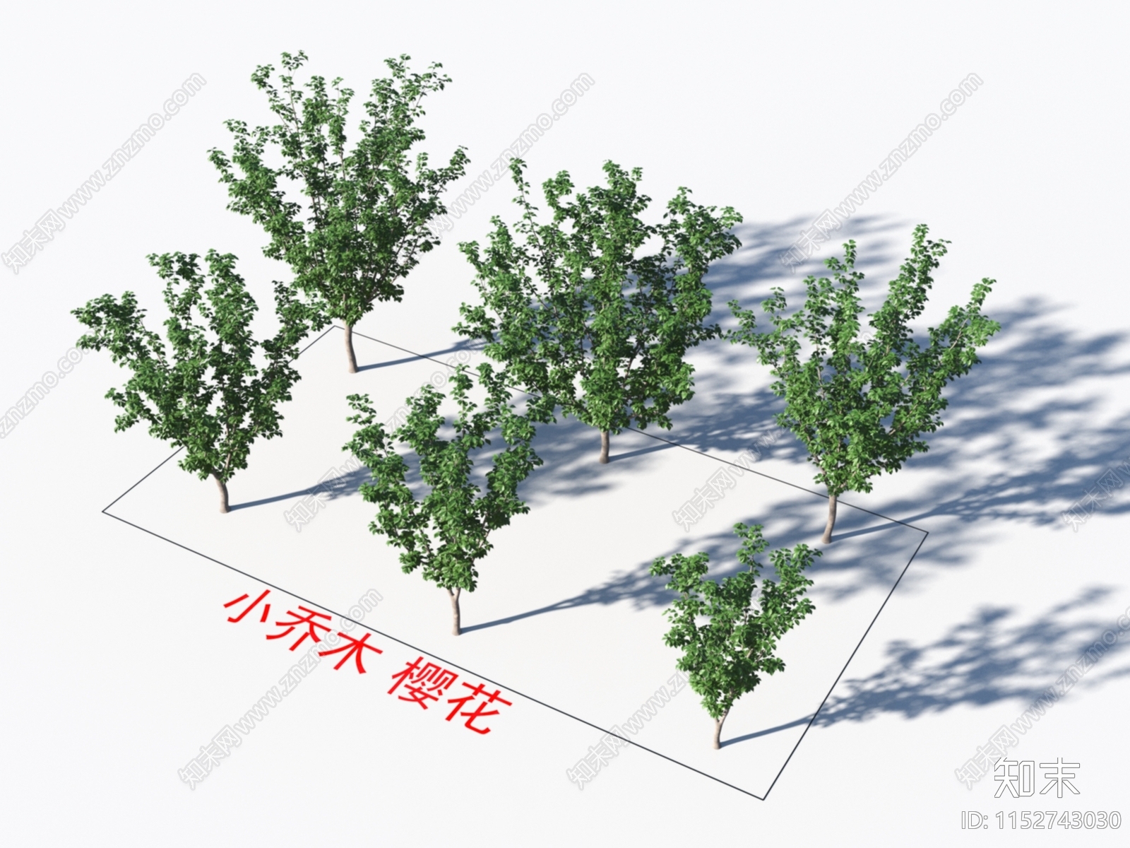 乔木3D模型下载【ID:1152743030】