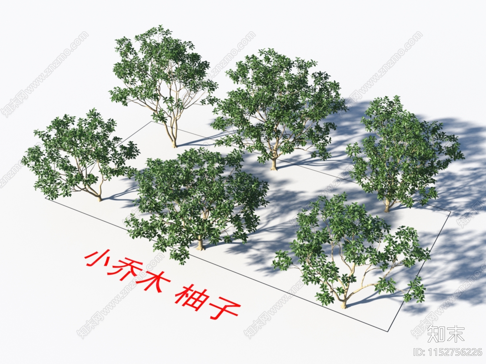 乔木3D模型下载【ID:1152756226】