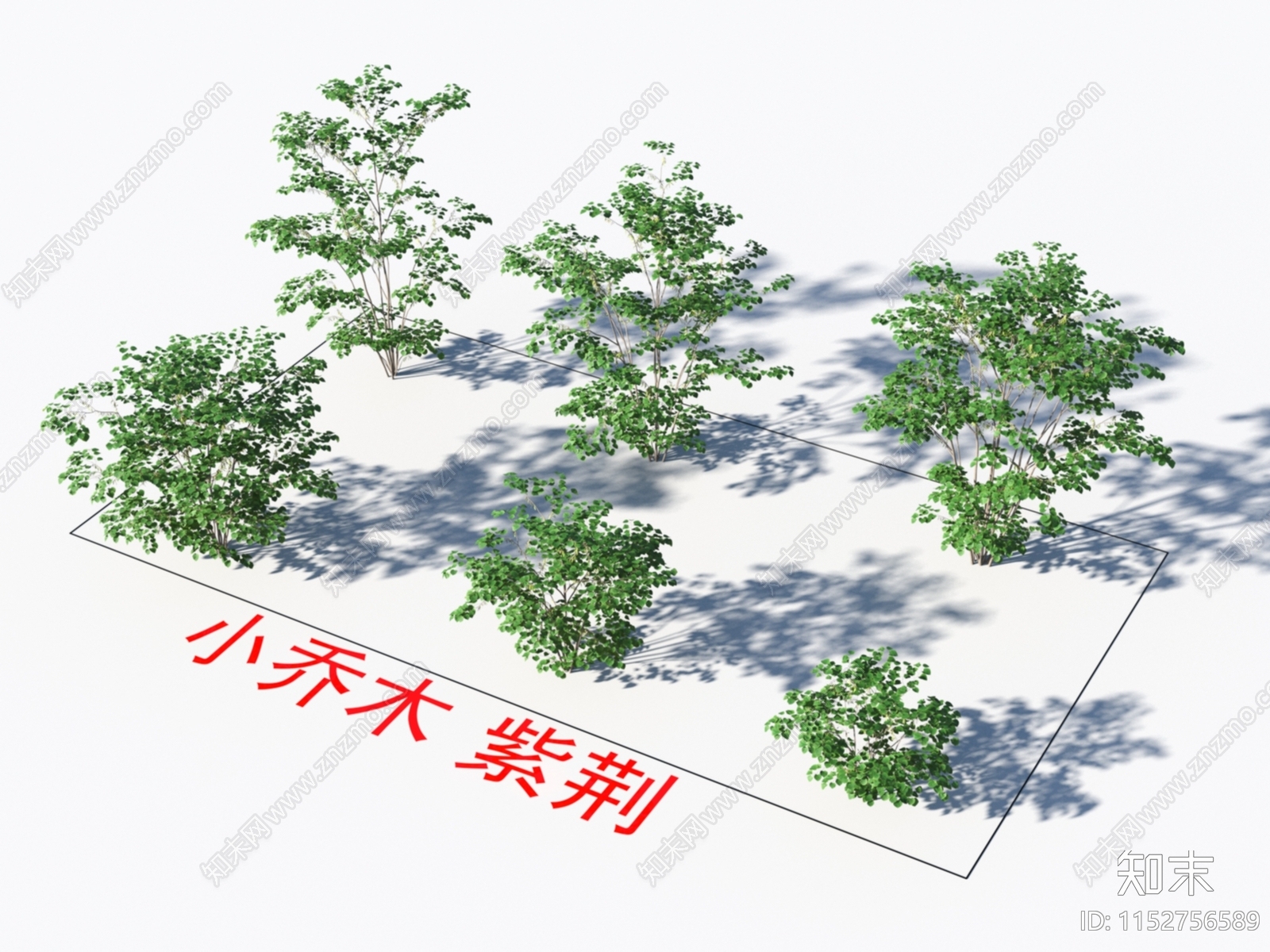 乔木3D模型下载【ID:1152756589】