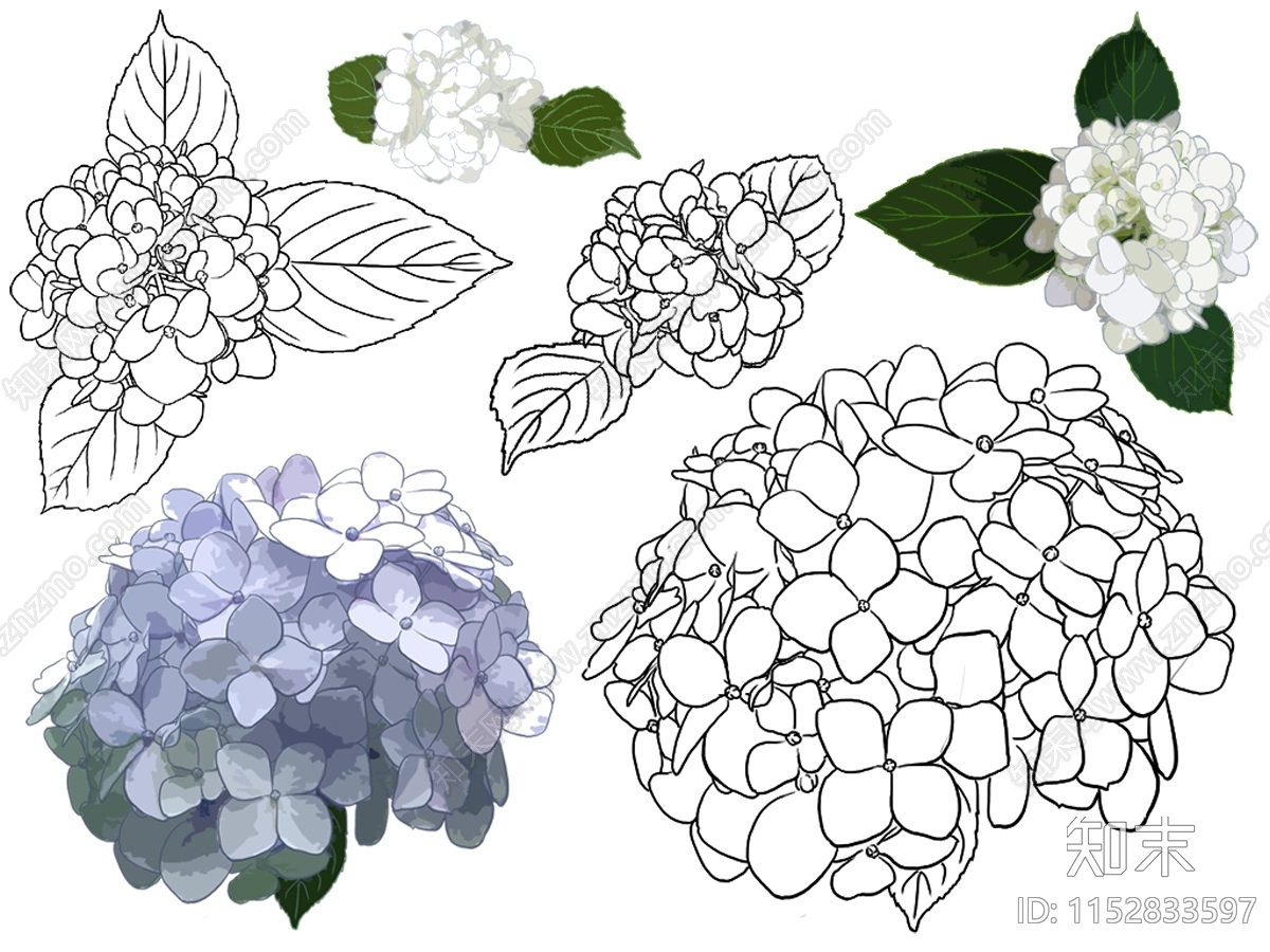 PSD免抠花卉植物彩绘下载【ID:1152833597】