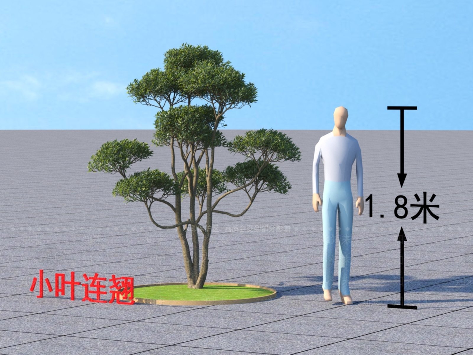 小叶连翘3D模型下载【ID:1152873230】