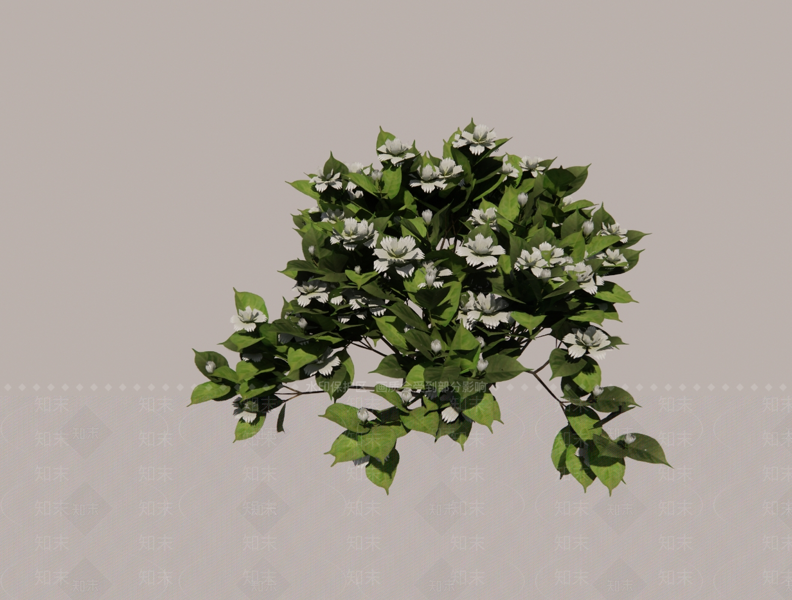 灌木栀子花SU模型下载【ID:1152885907】