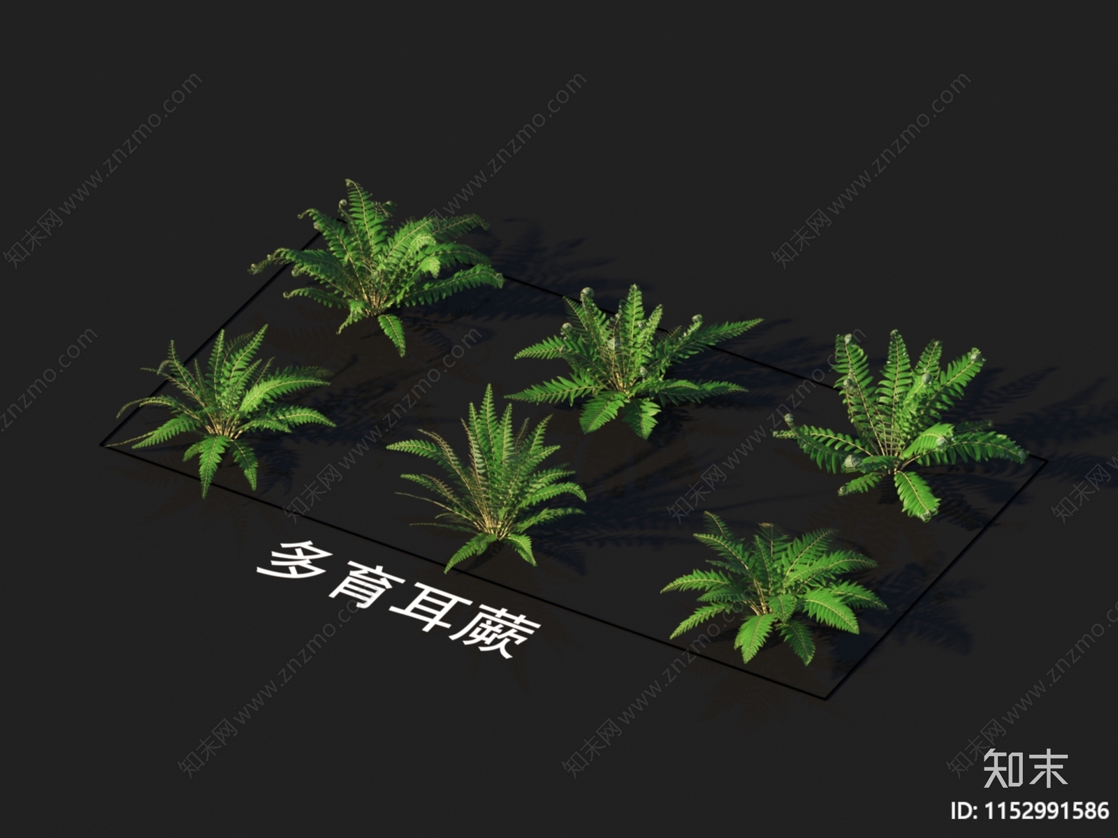 花草3D模型下载【ID:1152991586】