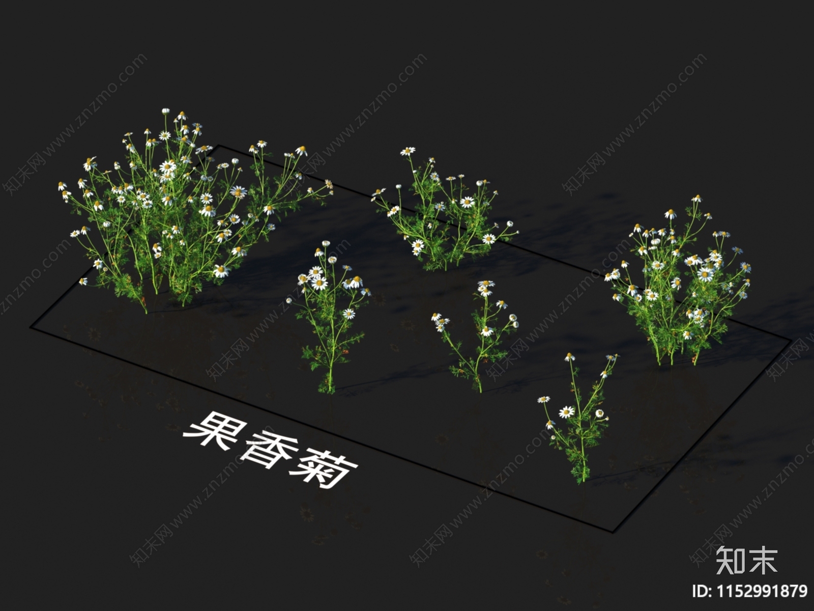 花草3D模型下载【ID:1152991879】