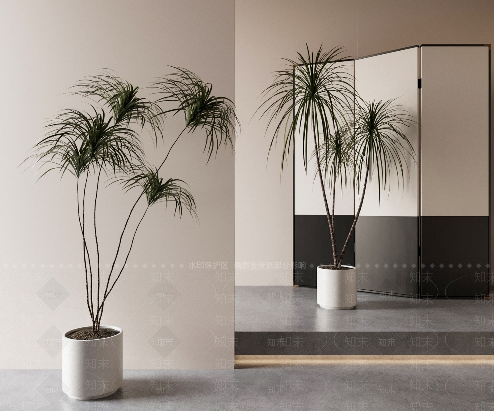 龙血树绿植盆栽3D模型下载【ID:1153021354】