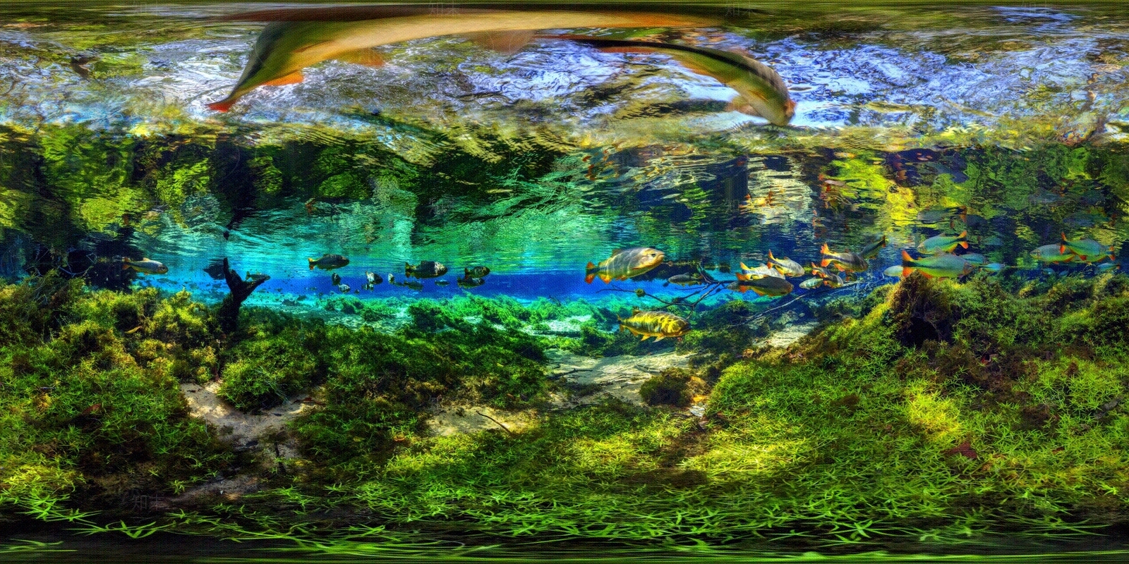 hdr海洋馆贴图下载【ID:1153030202】