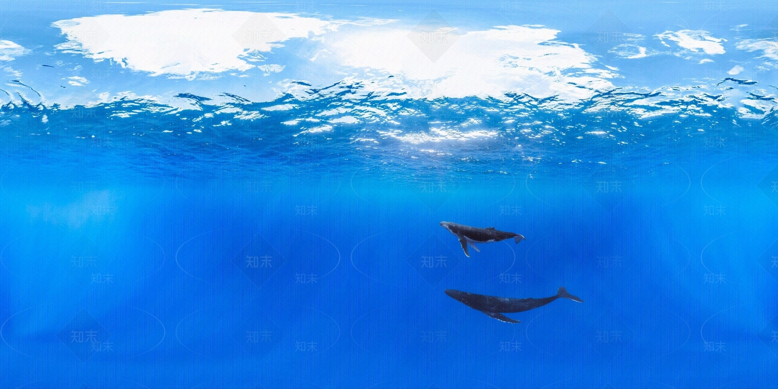 hdr海洋馆贴图下载【ID:1153030339】