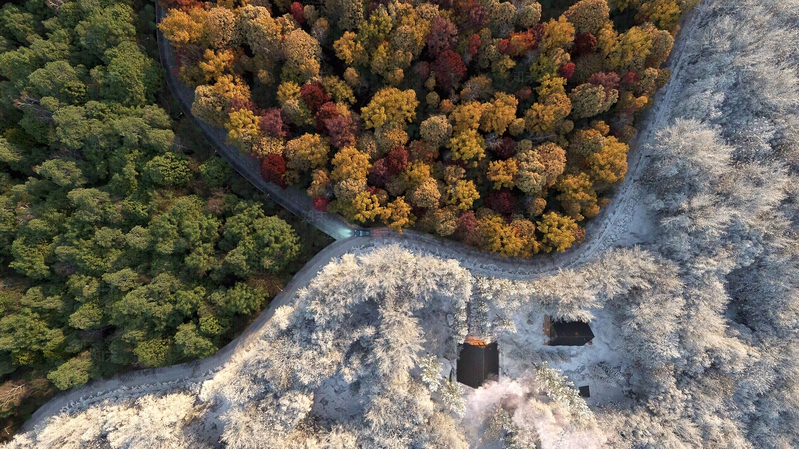 室外乔木森林树林日景外景自然风景照片效果图贴图下载【ID:1153040024】