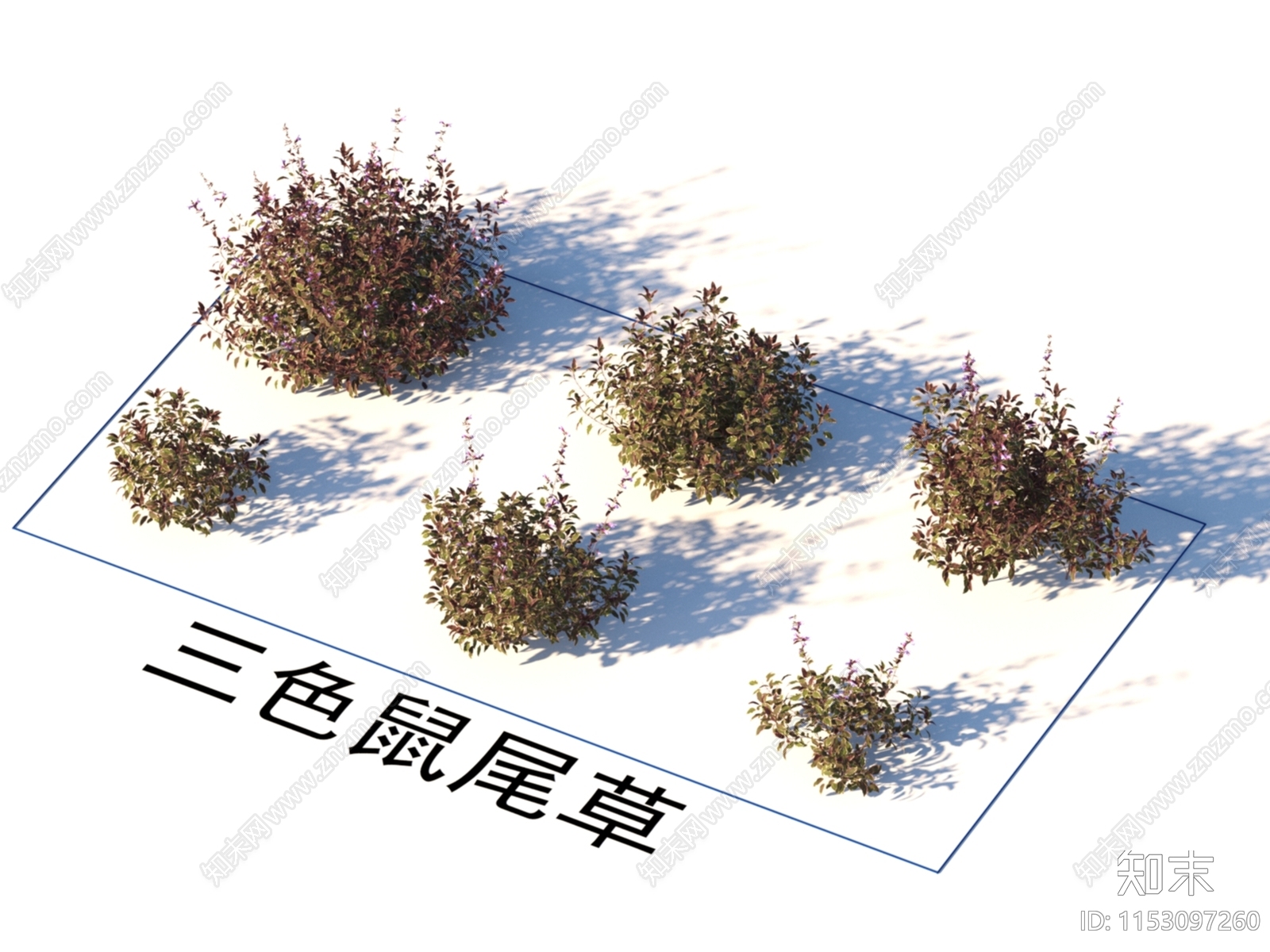 花草3D模型下载【ID:1153097260】