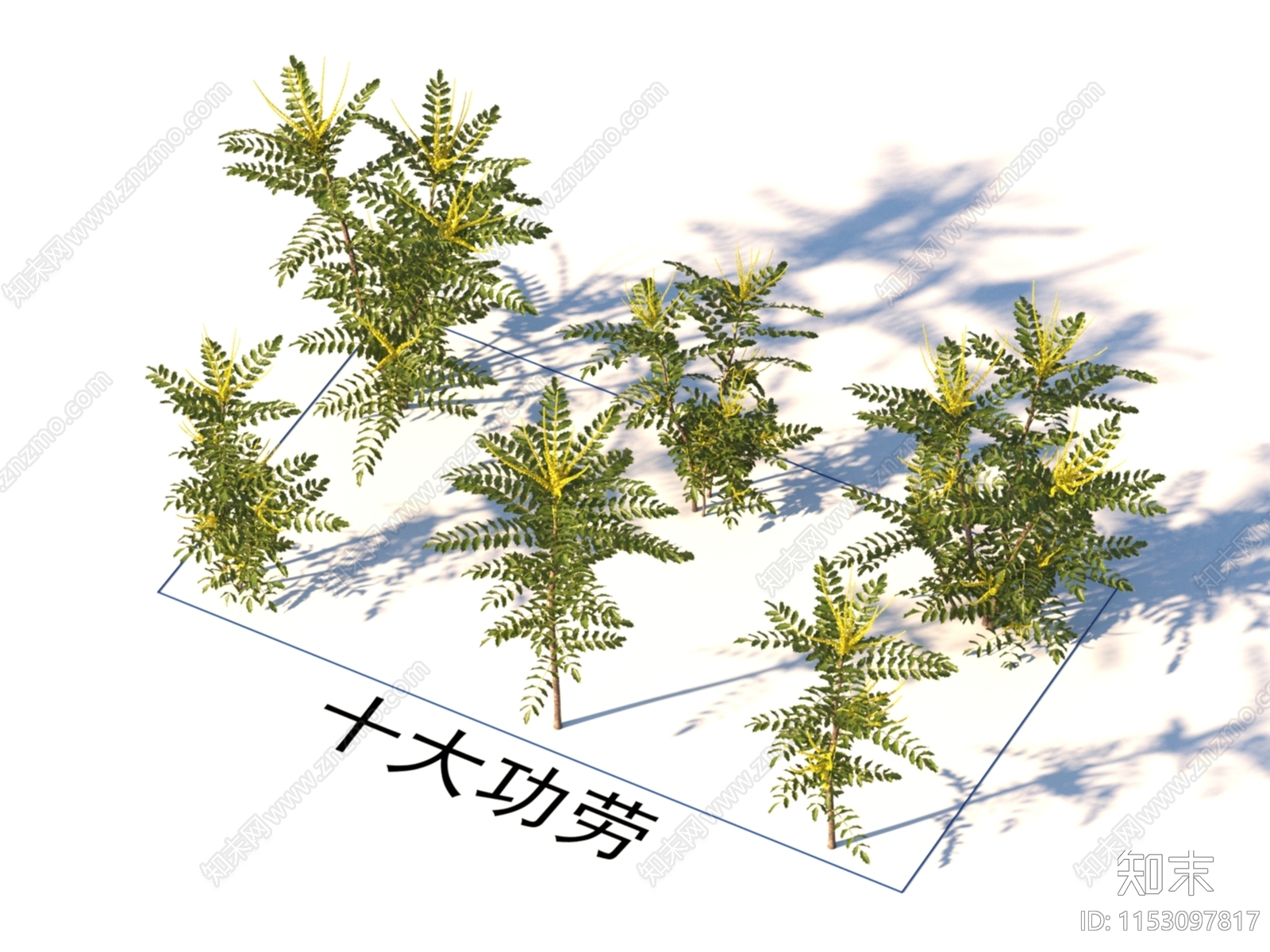 灌木3D模型下载【ID:1153097817】