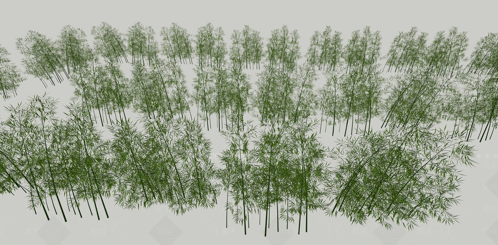 景观植物竹子SU模型下载【ID:1153101008】