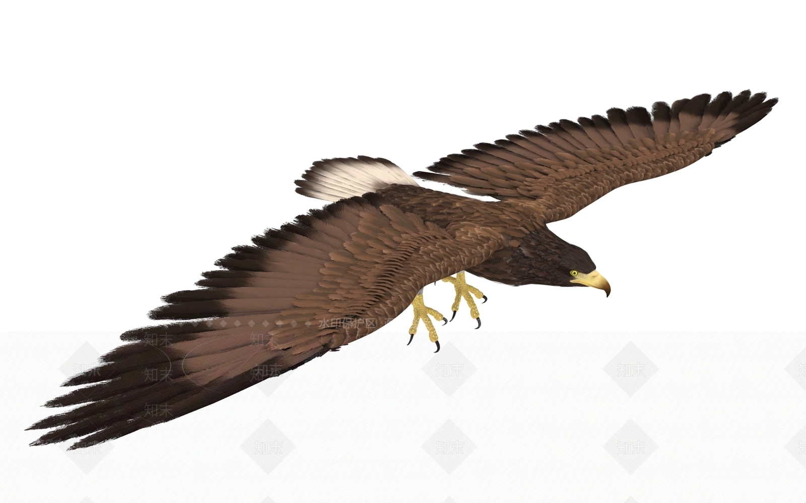 动物3D模型下载【ID:1153181421】