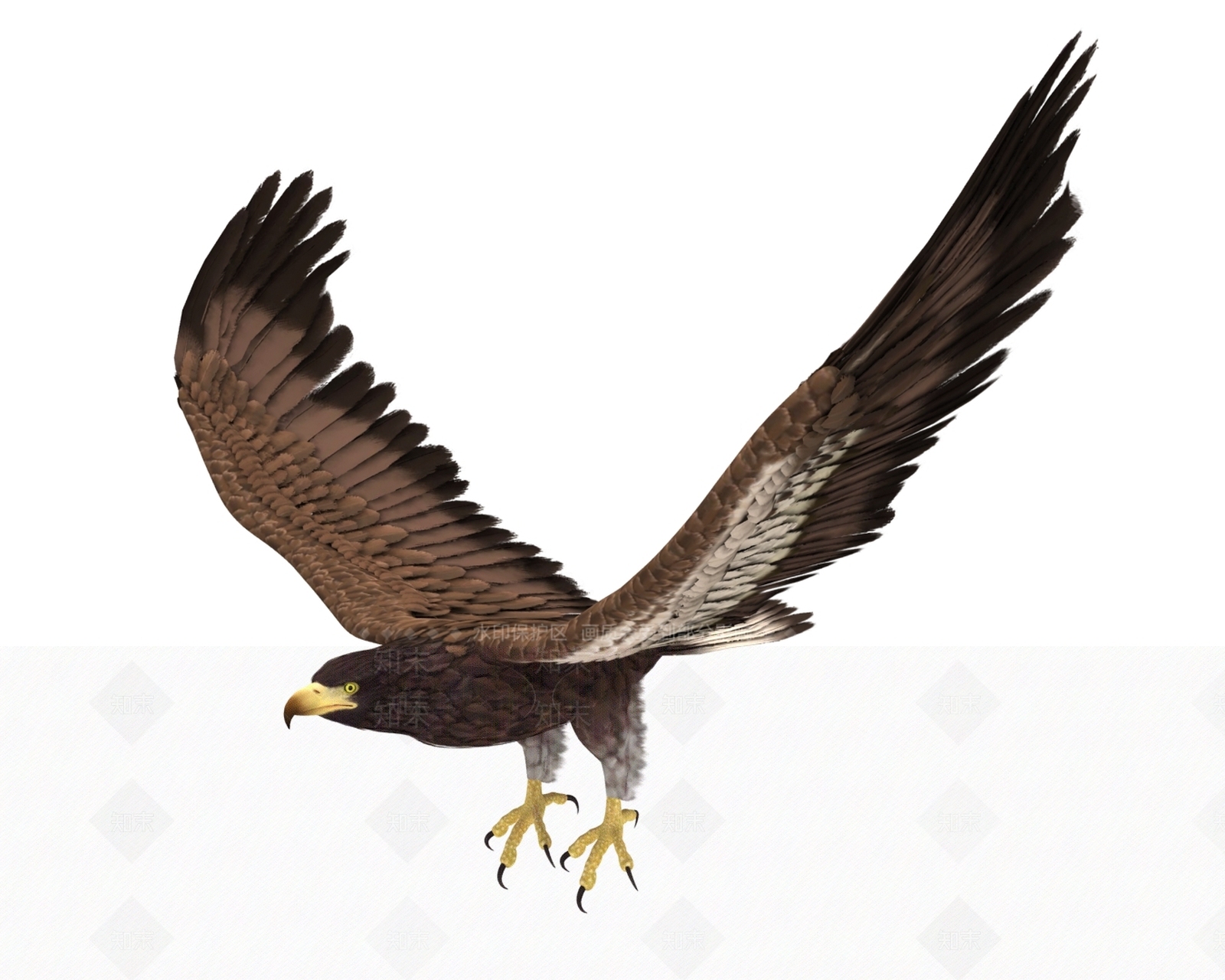 动物3D模型下载【ID:1153181421】