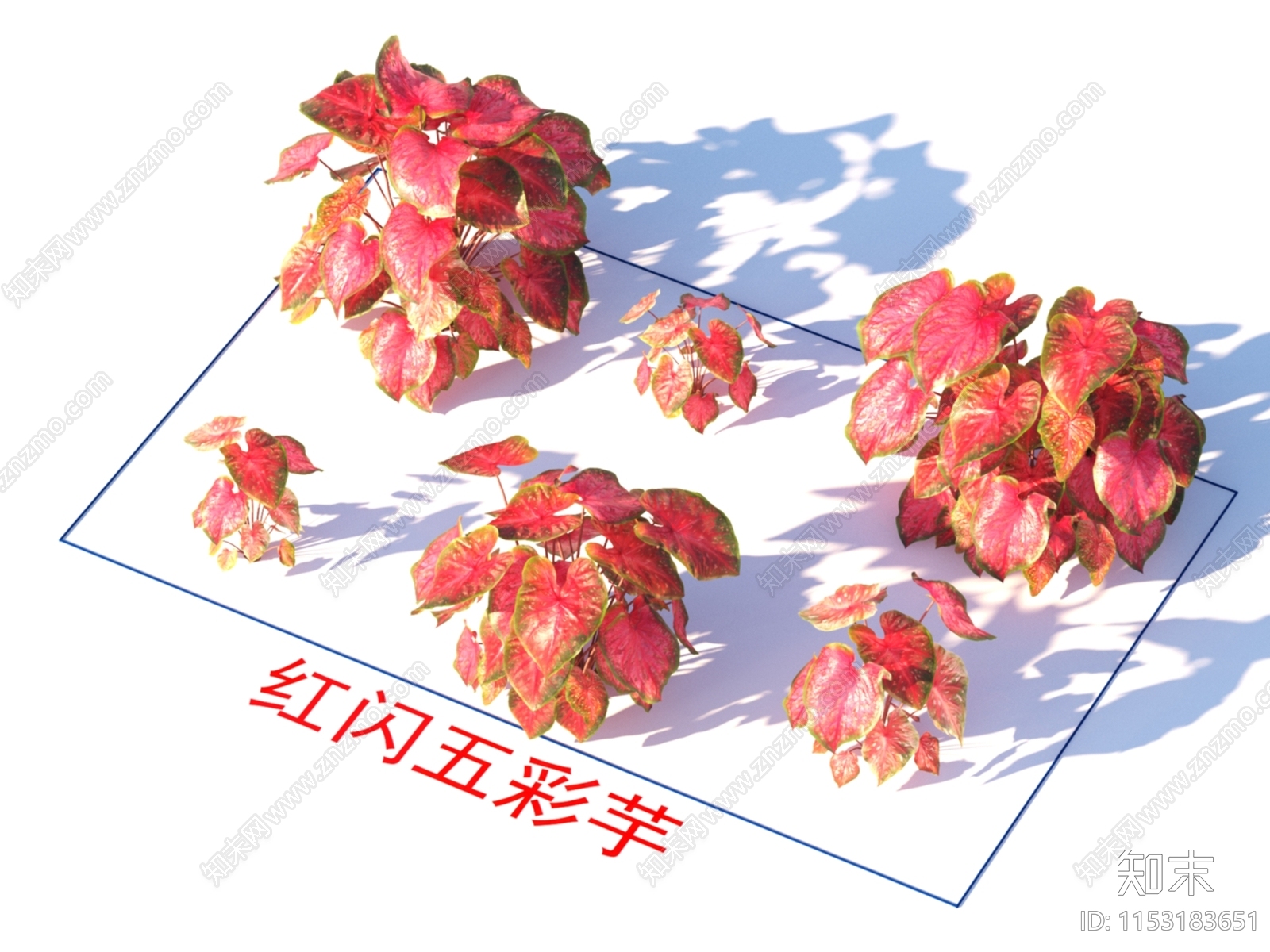 红闪五彩芋3D模型下载【ID:1153183651】