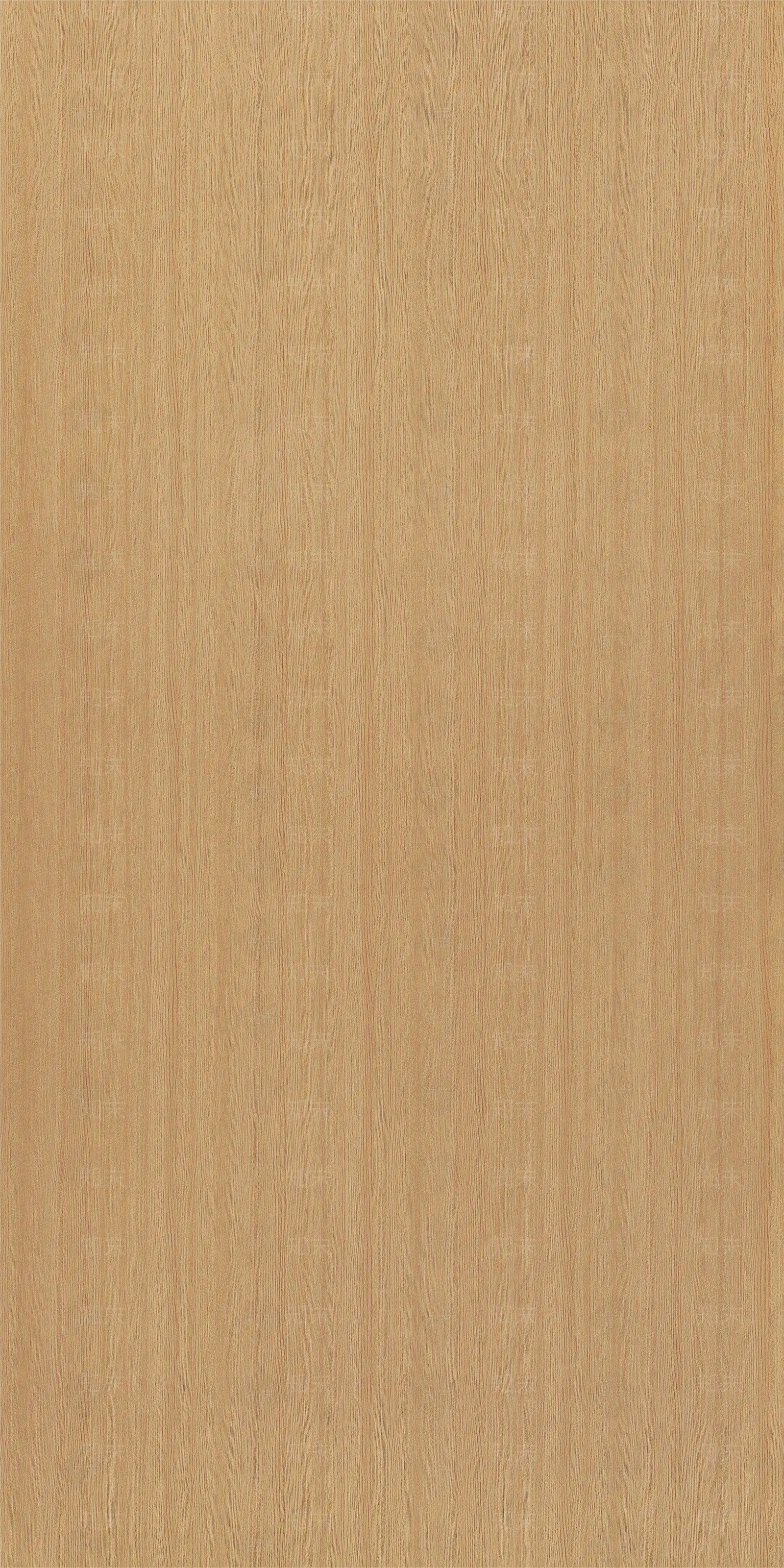 黄色法国直纹橡木木纹贴图下载【ID:1153189706】