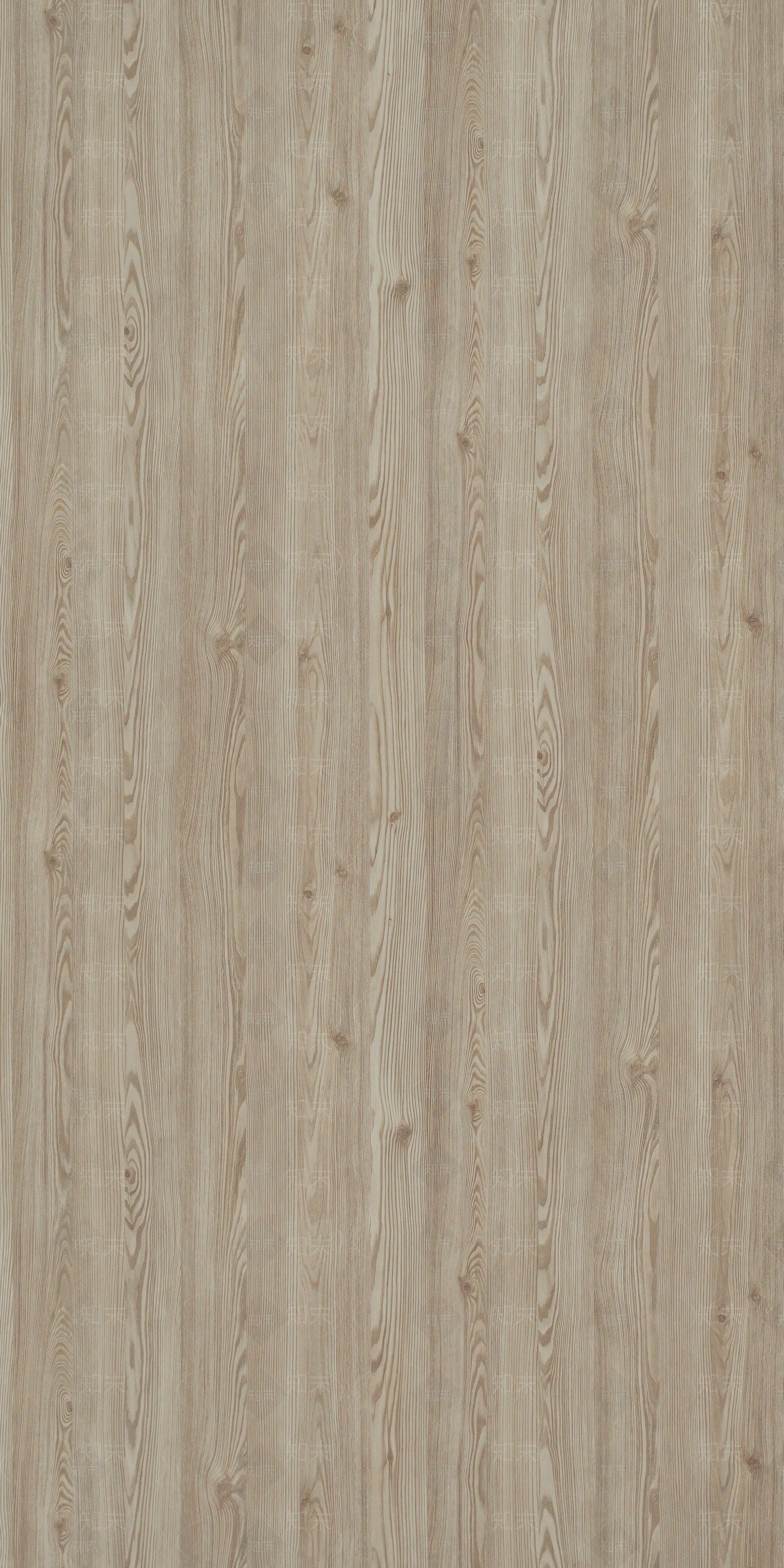 浅黄色落叶松木纹贴图下载【ID:1153190839】