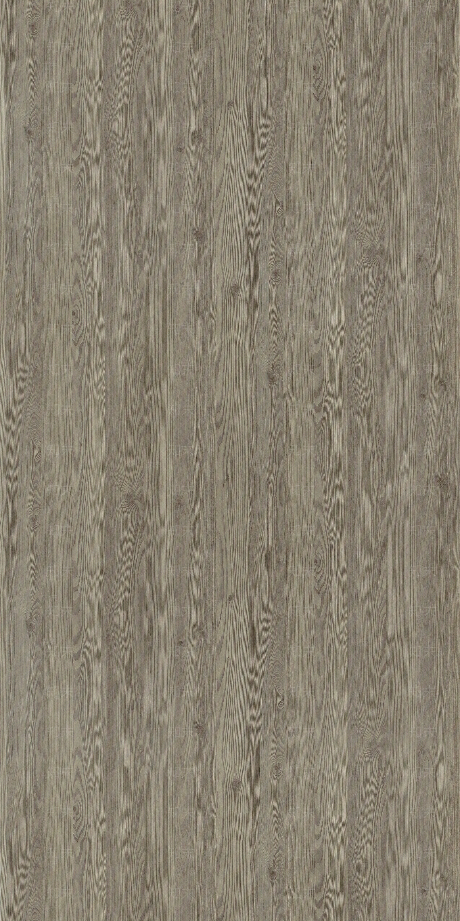 浅色落叶松木纹贴图下载【ID:1153190934】