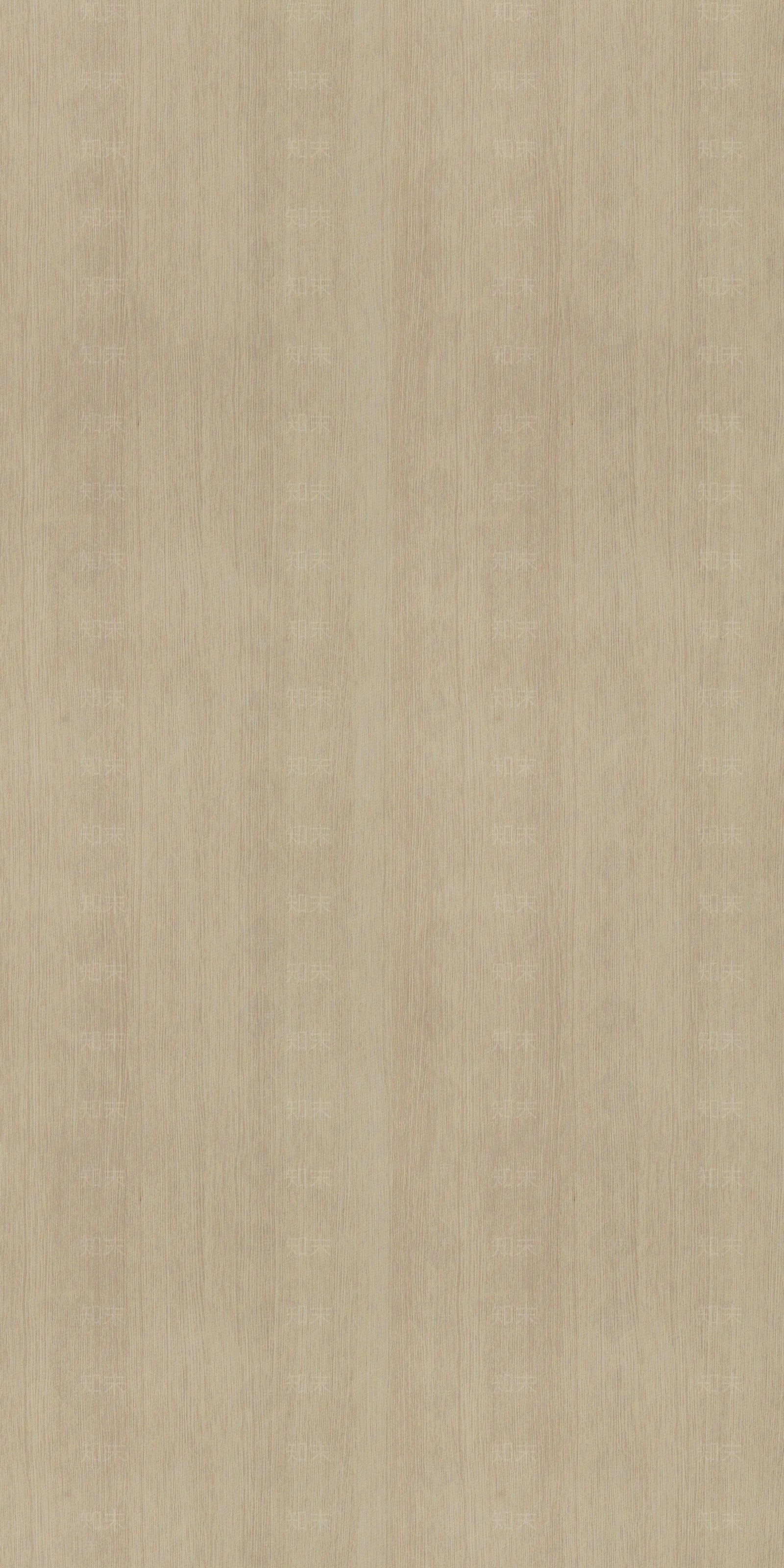 浅色美洲罗维尔橡木木纹贴图下载【ID:1153191068】