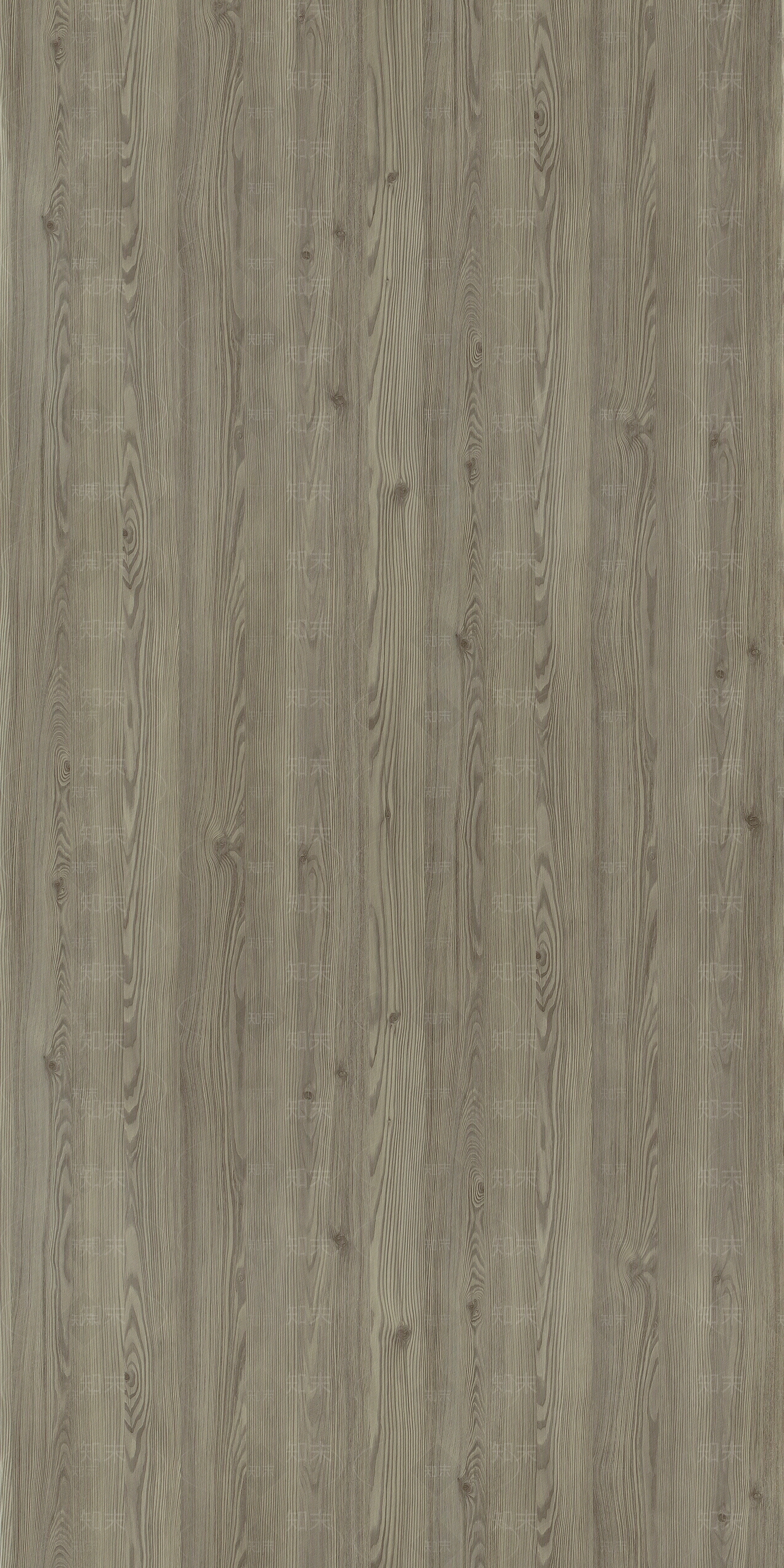 天然落叶松木纹贴图下载【ID:1153192868】