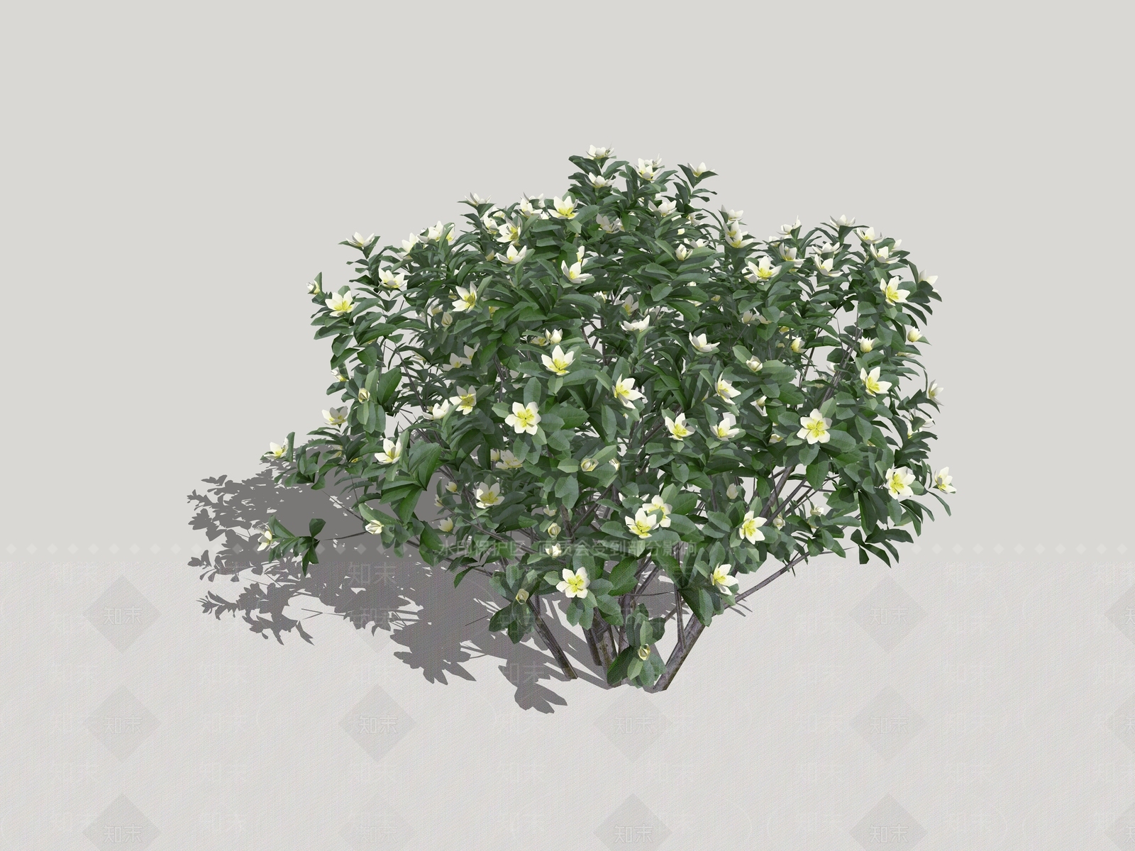 含笑花SU模型下载【ID:1153217757】