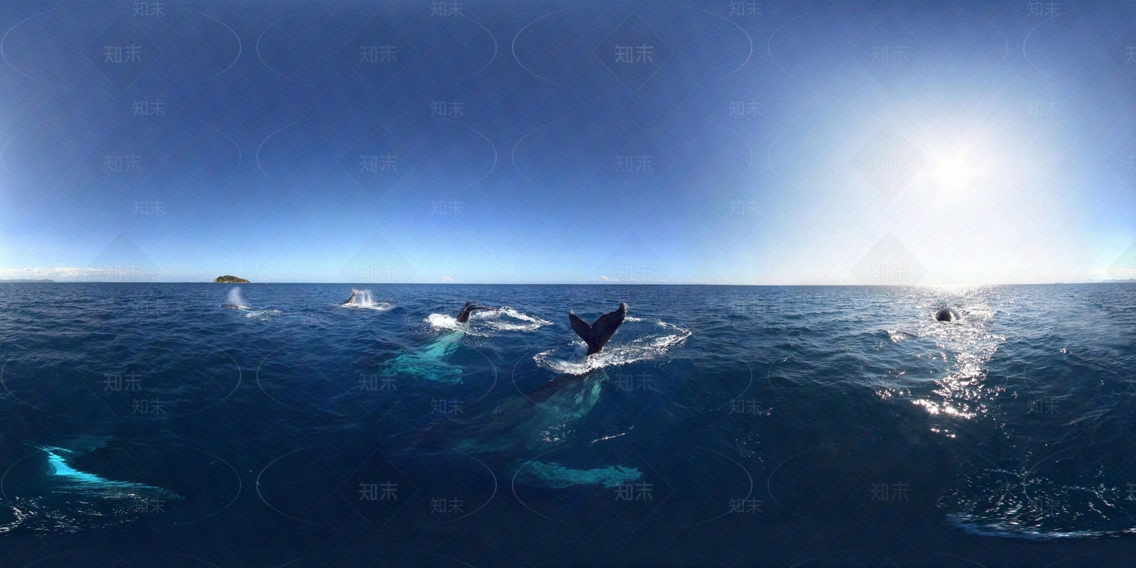 hdr海洋天空贴图下载【ID:1153225004】