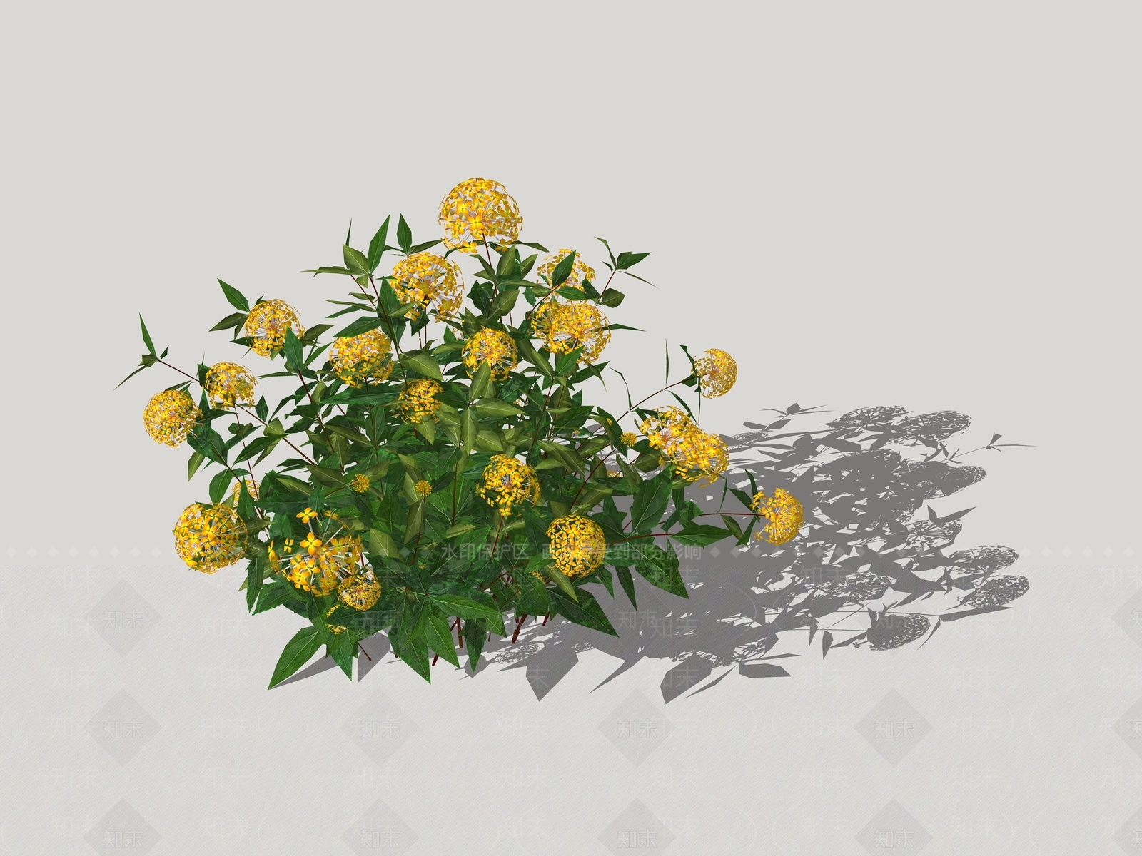 金丝桃SU模型下载【ID:1153226800】