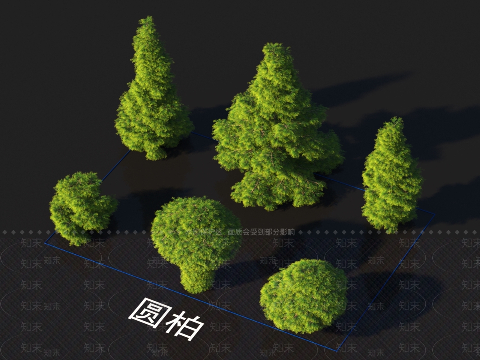圆柏3D模型下载【ID:1153249511】