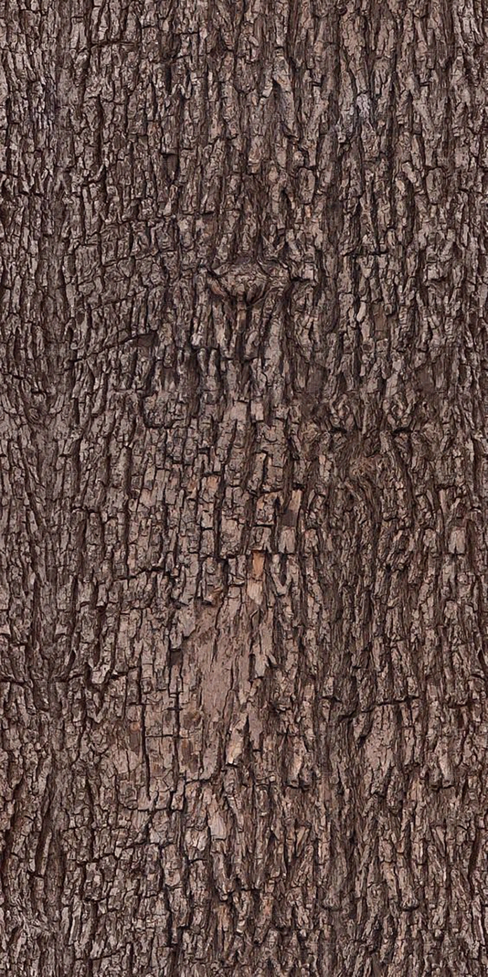 自然树皮树干纹理贴图下载【ID:1153267761】