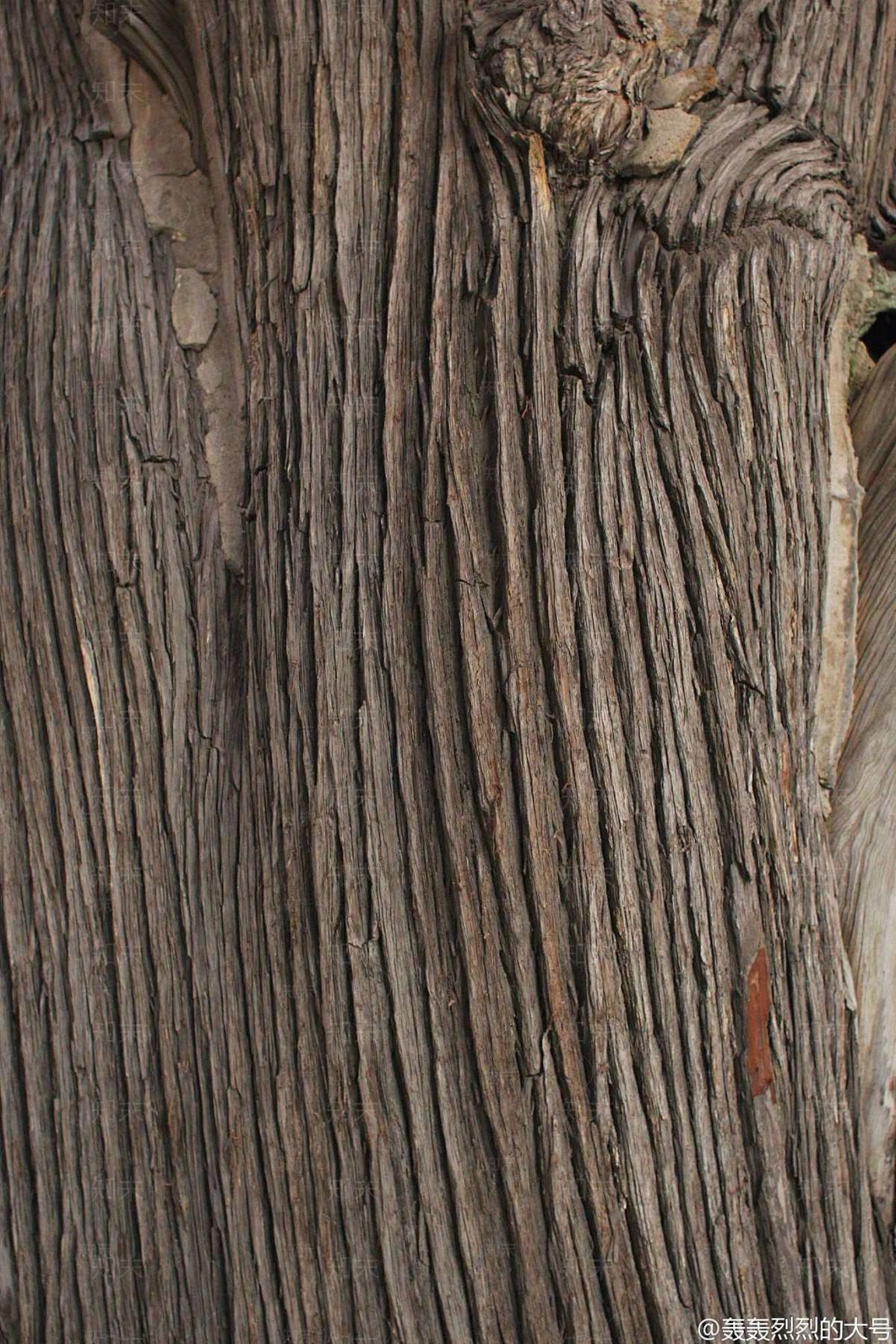 自然树皮树干纹理贴图下载【ID:1153268003】
