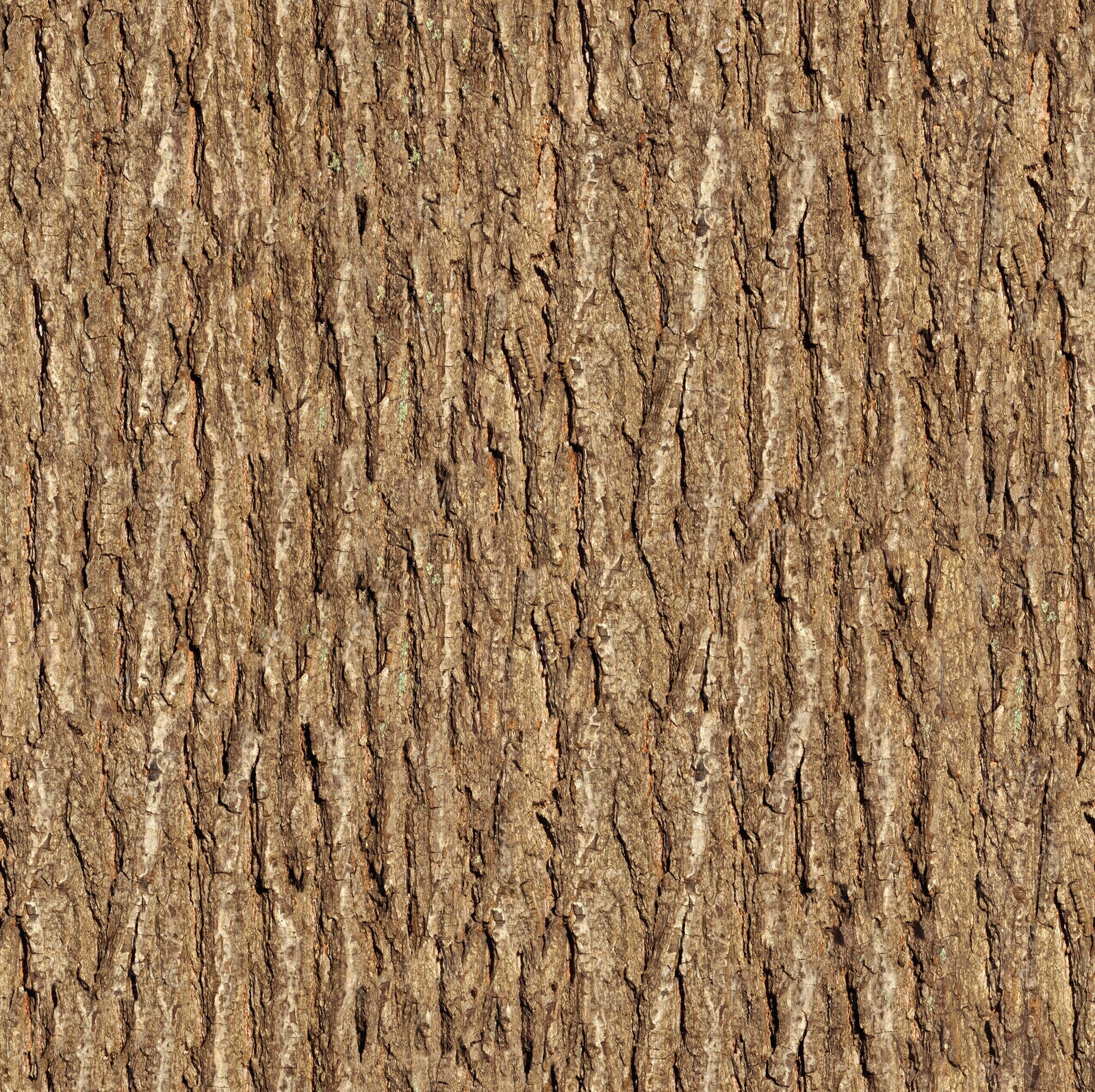自然树皮树干纹理贴图下载【ID:1153268218】