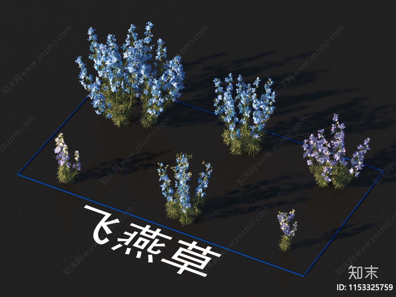 飞燕草3D模型下载【ID:1153325759】