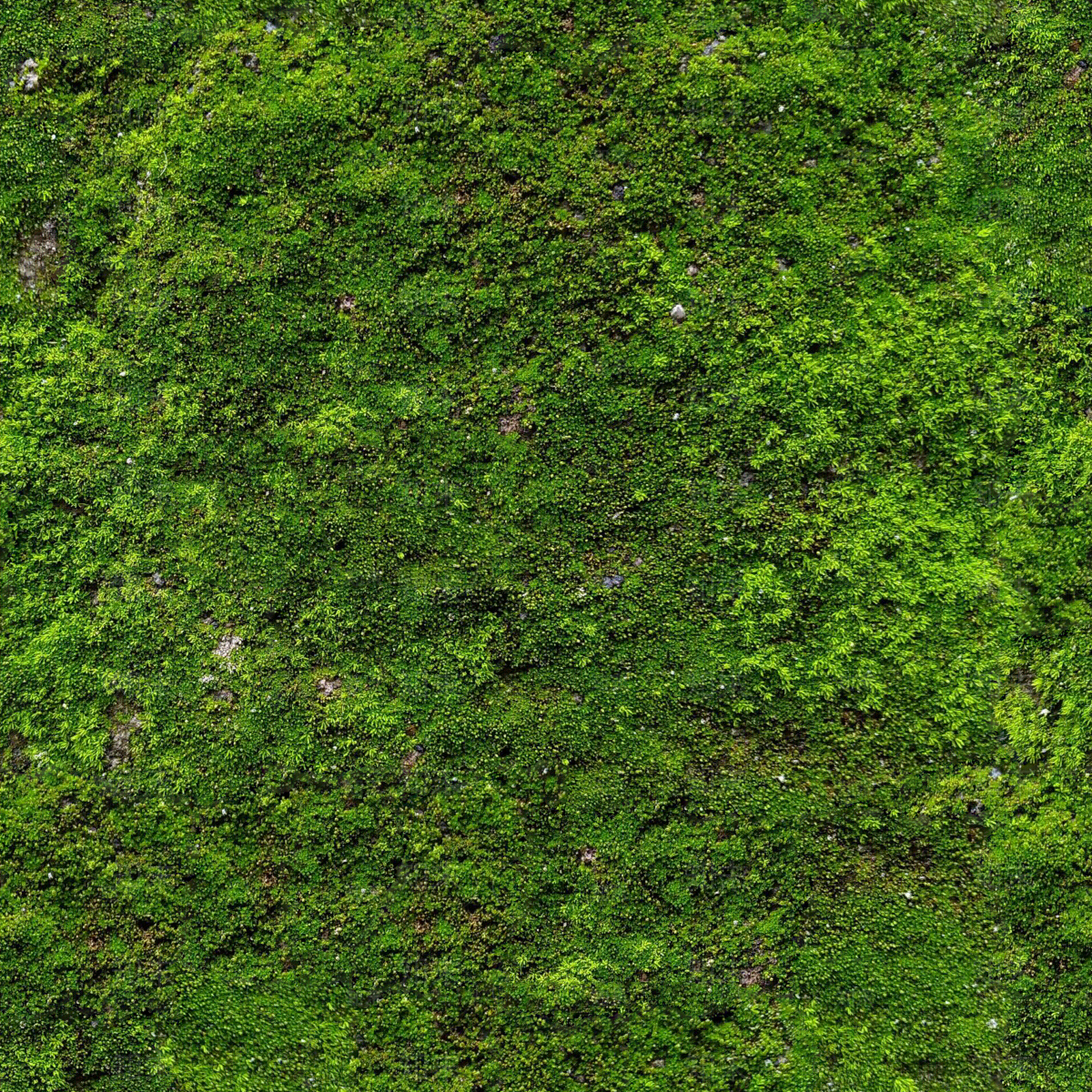 无缝苔藓贴图下载【ID:1153338097】
