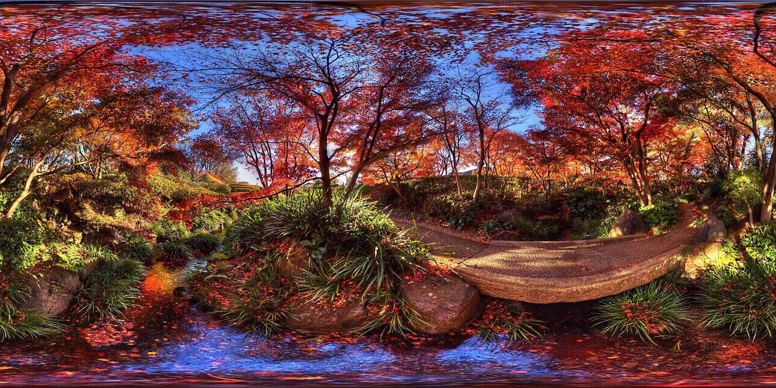 hdr枫叶林全景贴图下载【ID:1153356009】