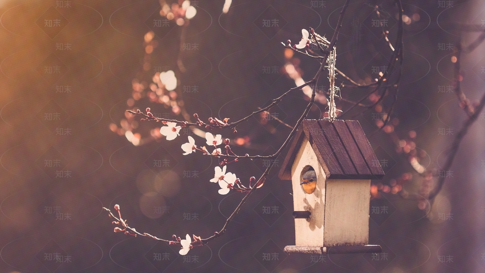 屏幕温馨壁纸贴图下载【ID:1153387911】