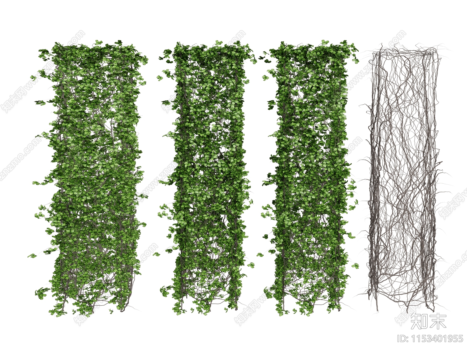 藤本植物绿植SU模型下载【ID:1153401955】