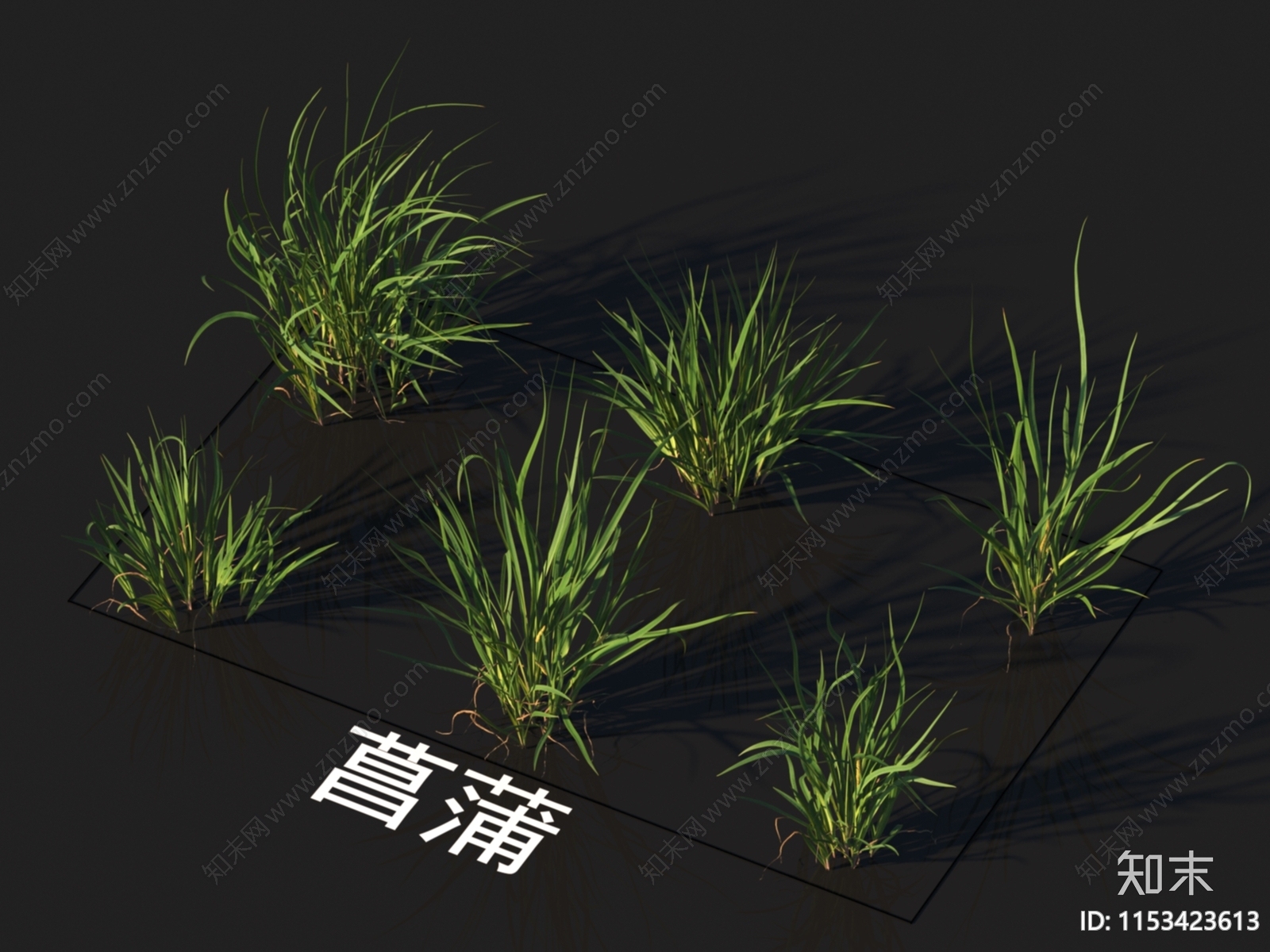 菖蒲3D模型下载【ID:1153423613】