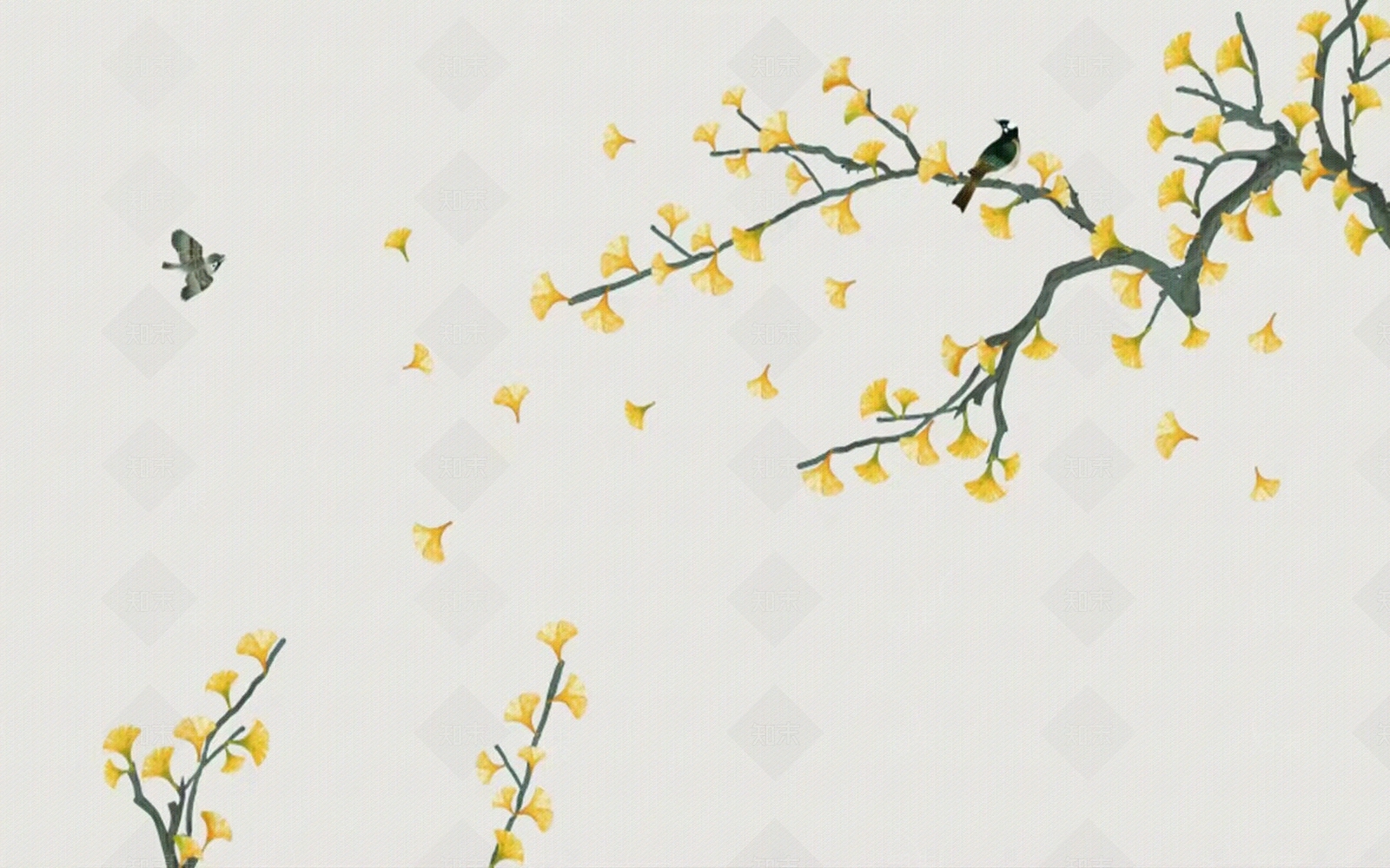 花鸟壁纸高清贴图材质