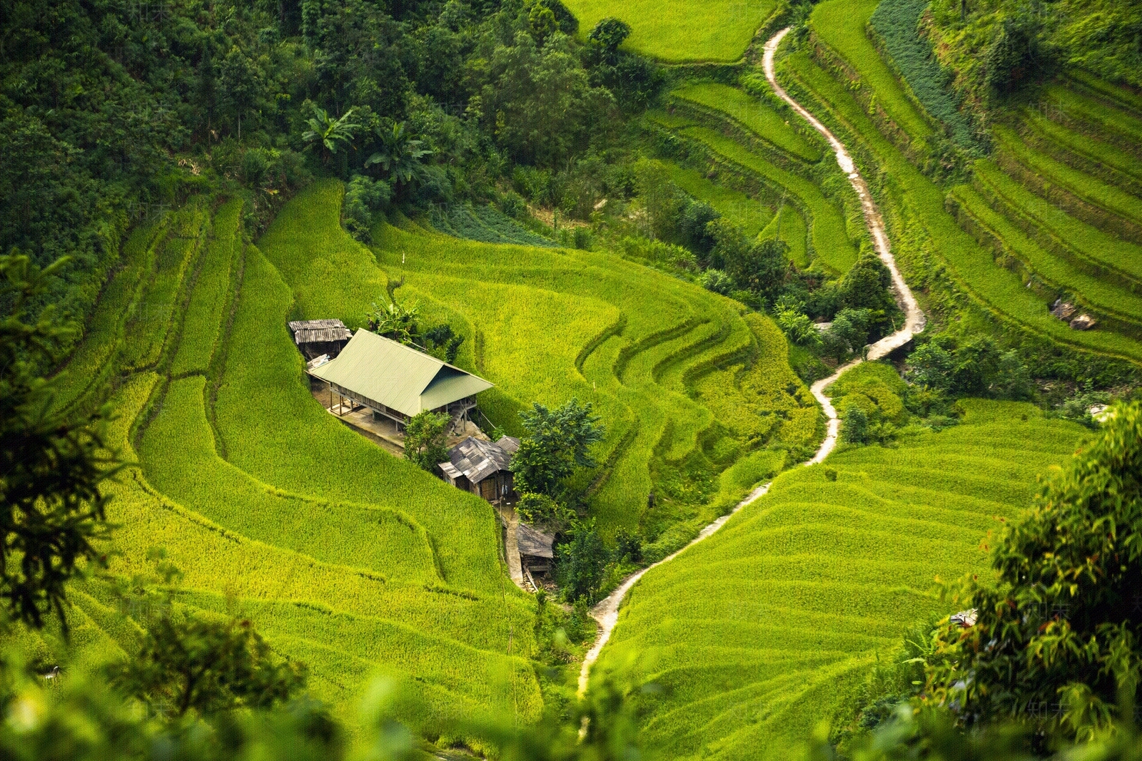 自然风景贴图下载【ID:1153464713】